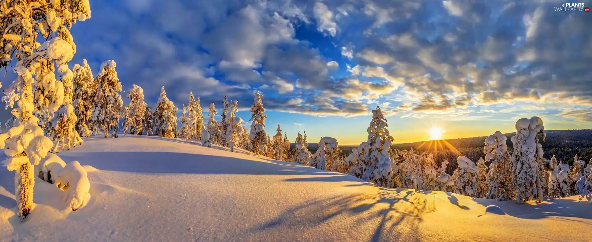 Sunrise, clouds, forest, Snowy, viewes, The Hills, winter, trees