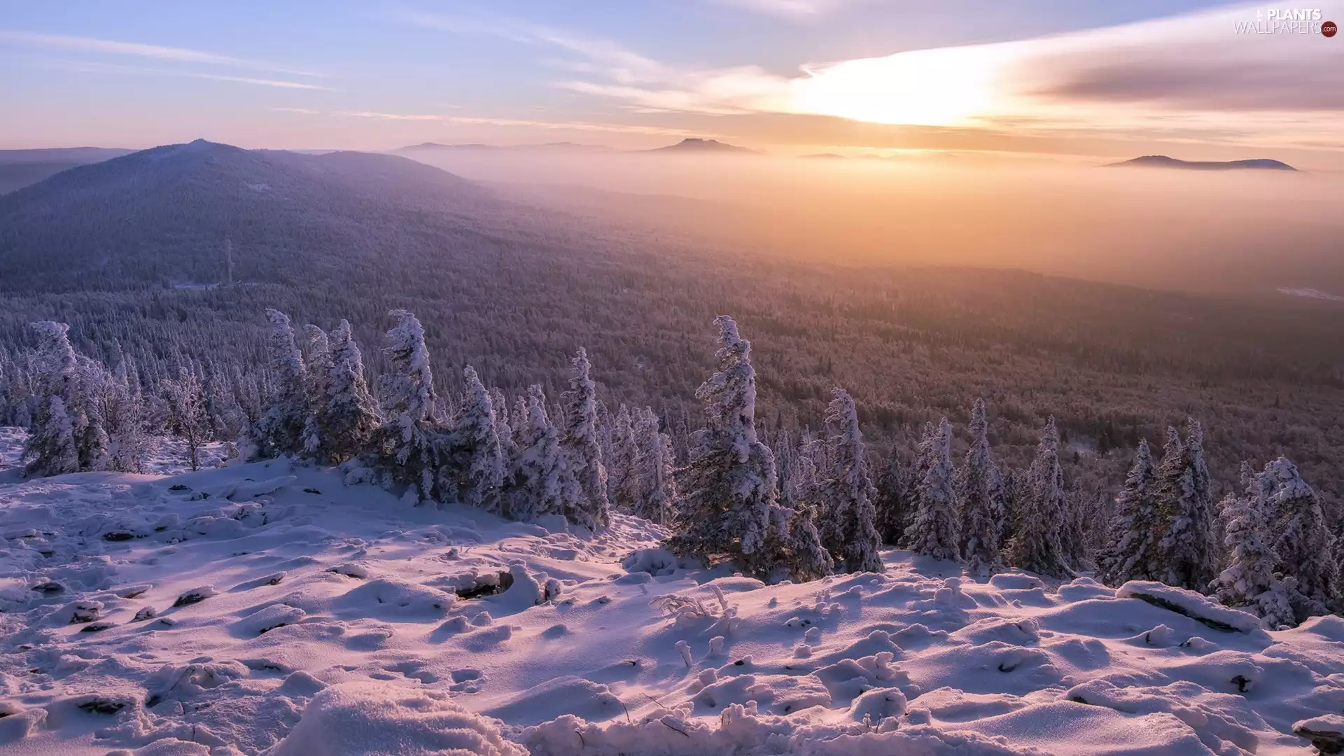 trees, The Hills, Sunrise, winter, viewes, Mountains
