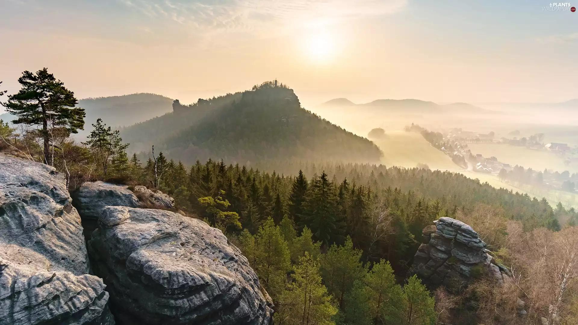 woods, trees, Mountains, viewes, rocks, The Hills, Sunrise