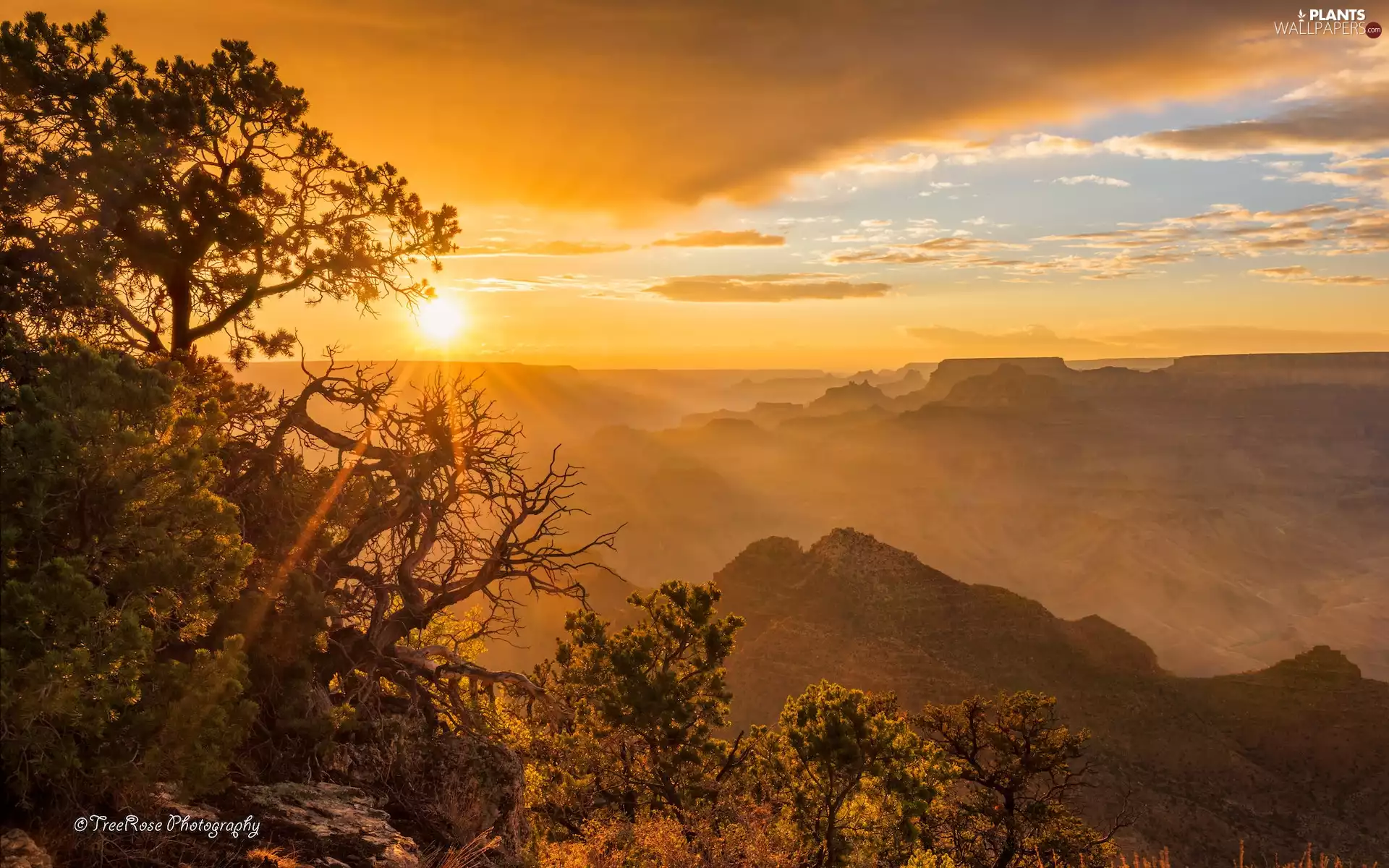 trees, viewes, Mountains, rays of the Sun, Sunrise