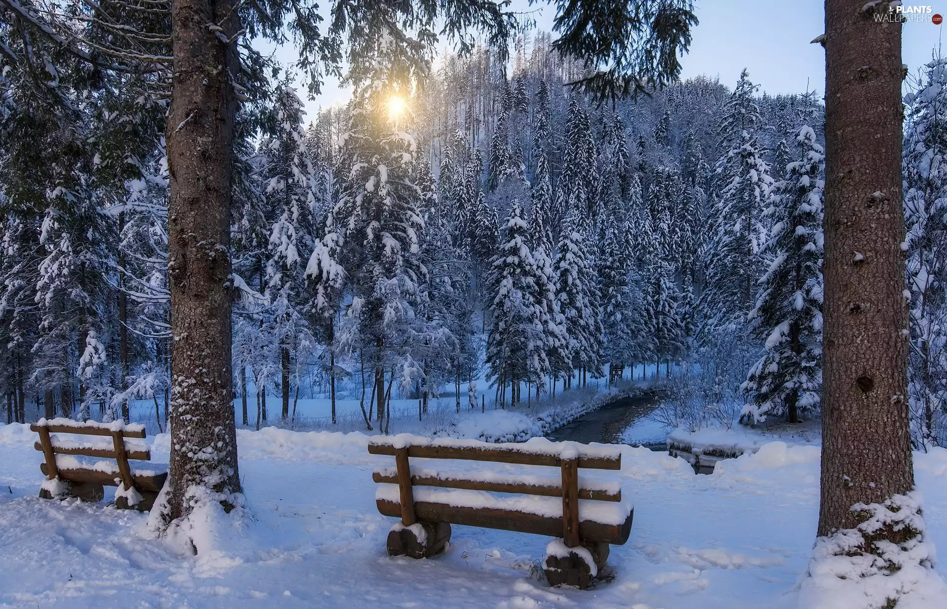 trees, winter, bench, Sunrise, viewes, Park
