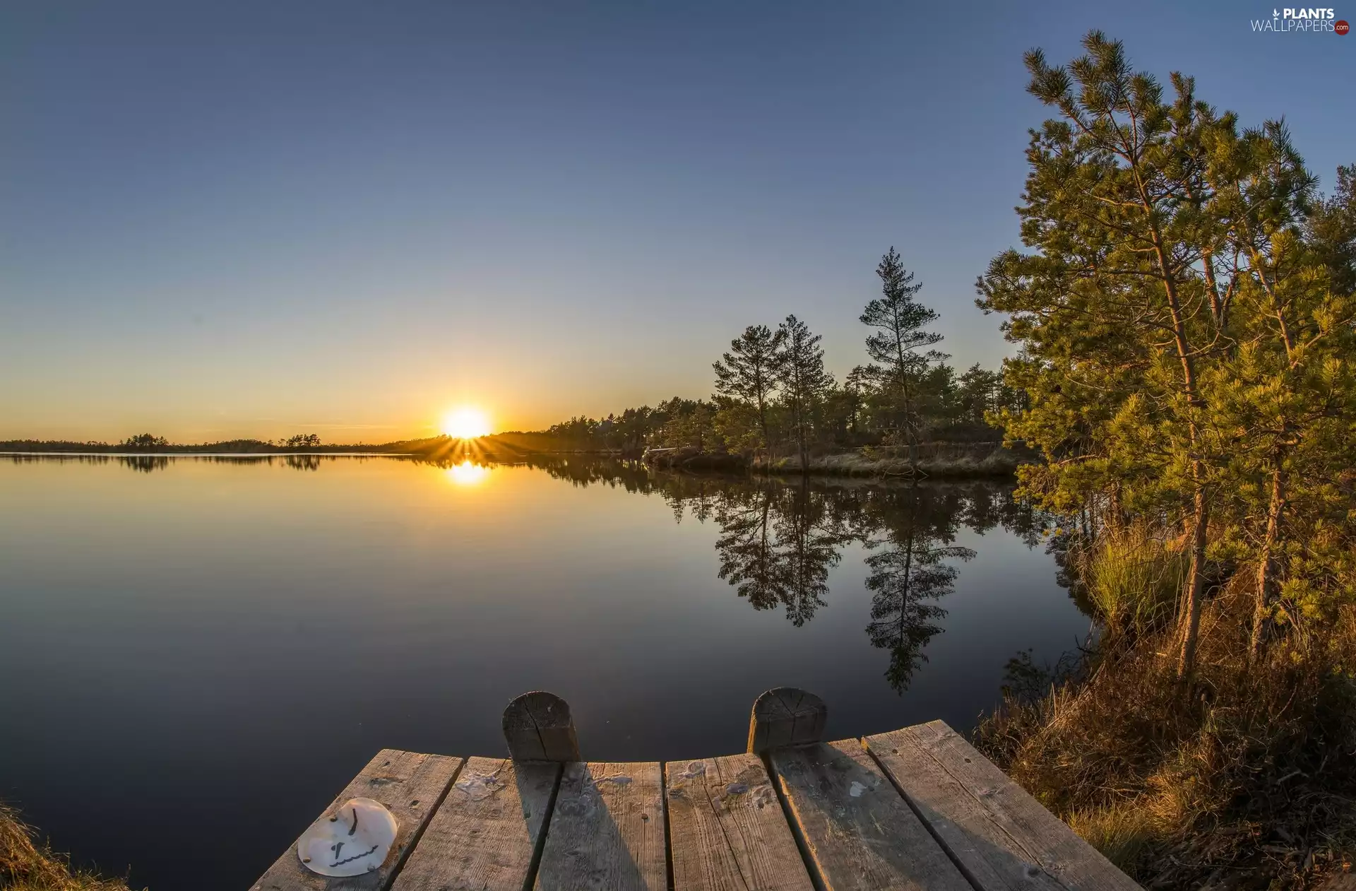 viewes, Sunrise, Platform, trees, lake