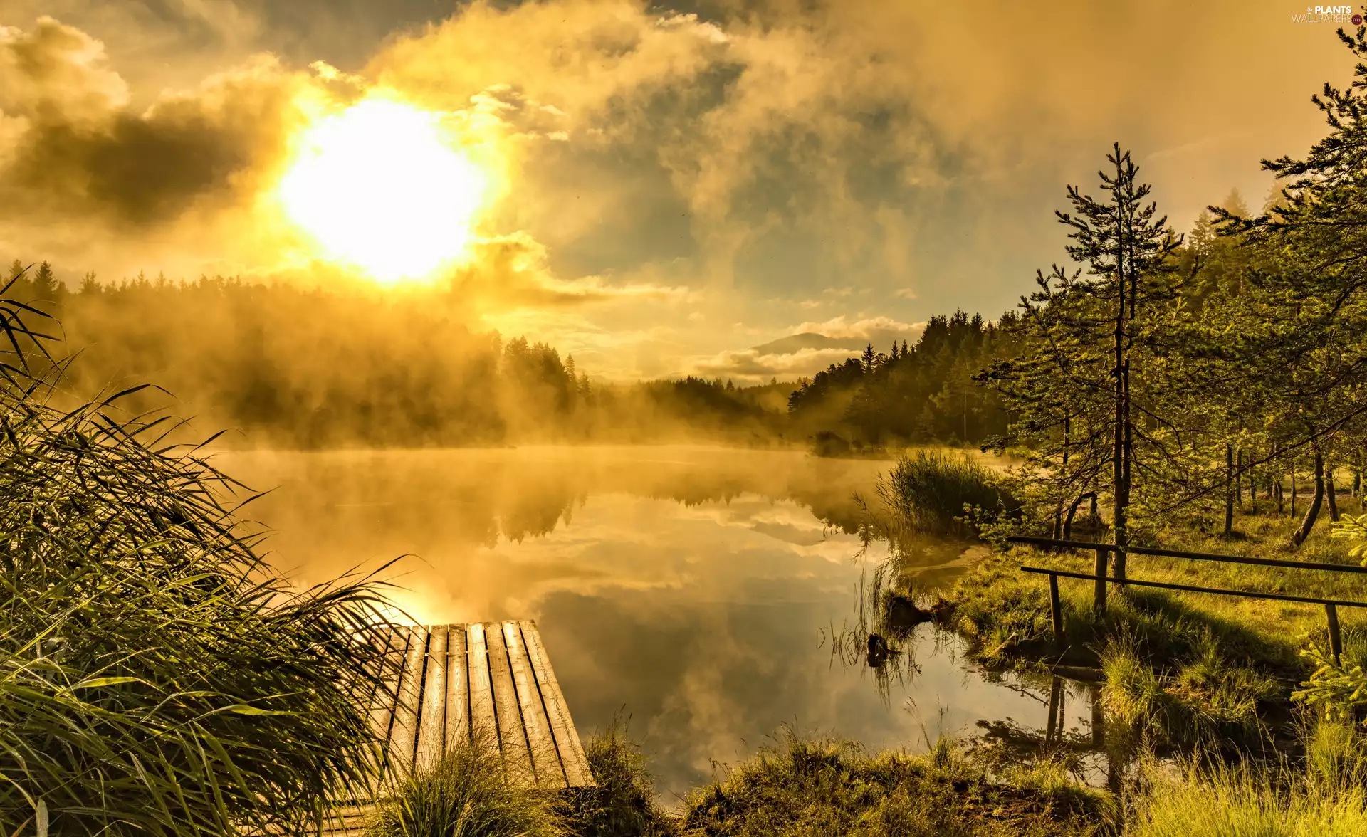 Sunrise, autumn, lake, Fog, trees, viewes, Platform, forest, wooden