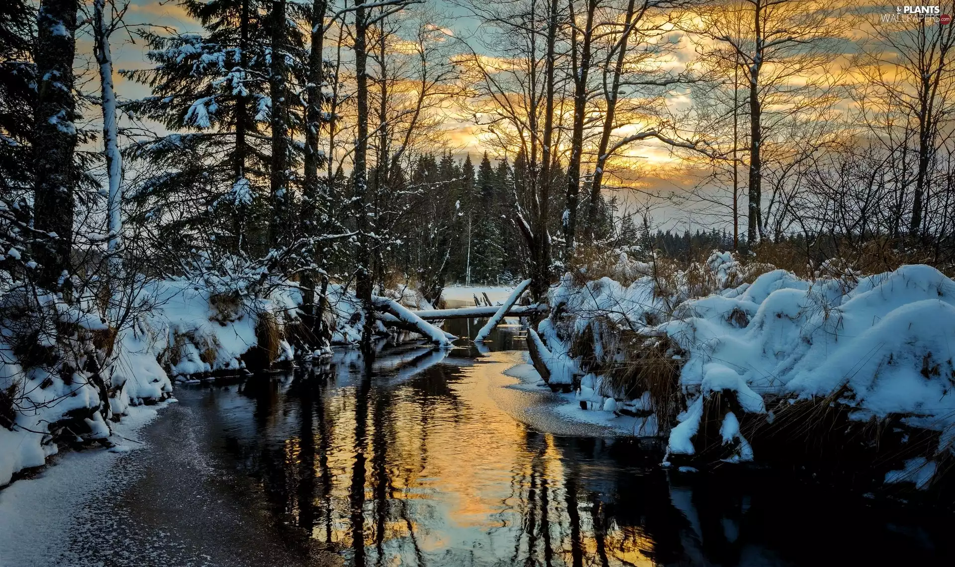 River, Värmland Region, viewes, winter, Sweden, trees, Sunrise