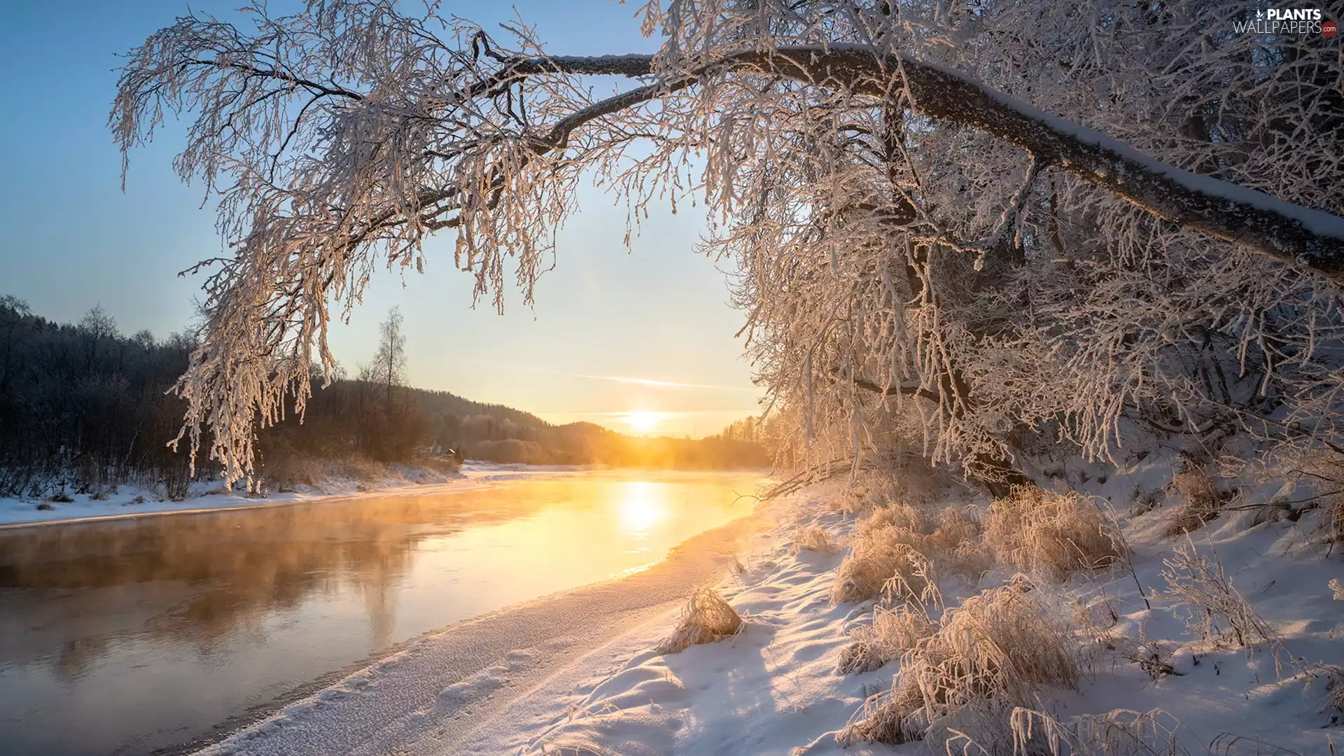 trees, winter, Fog, Sunrise, viewes, River