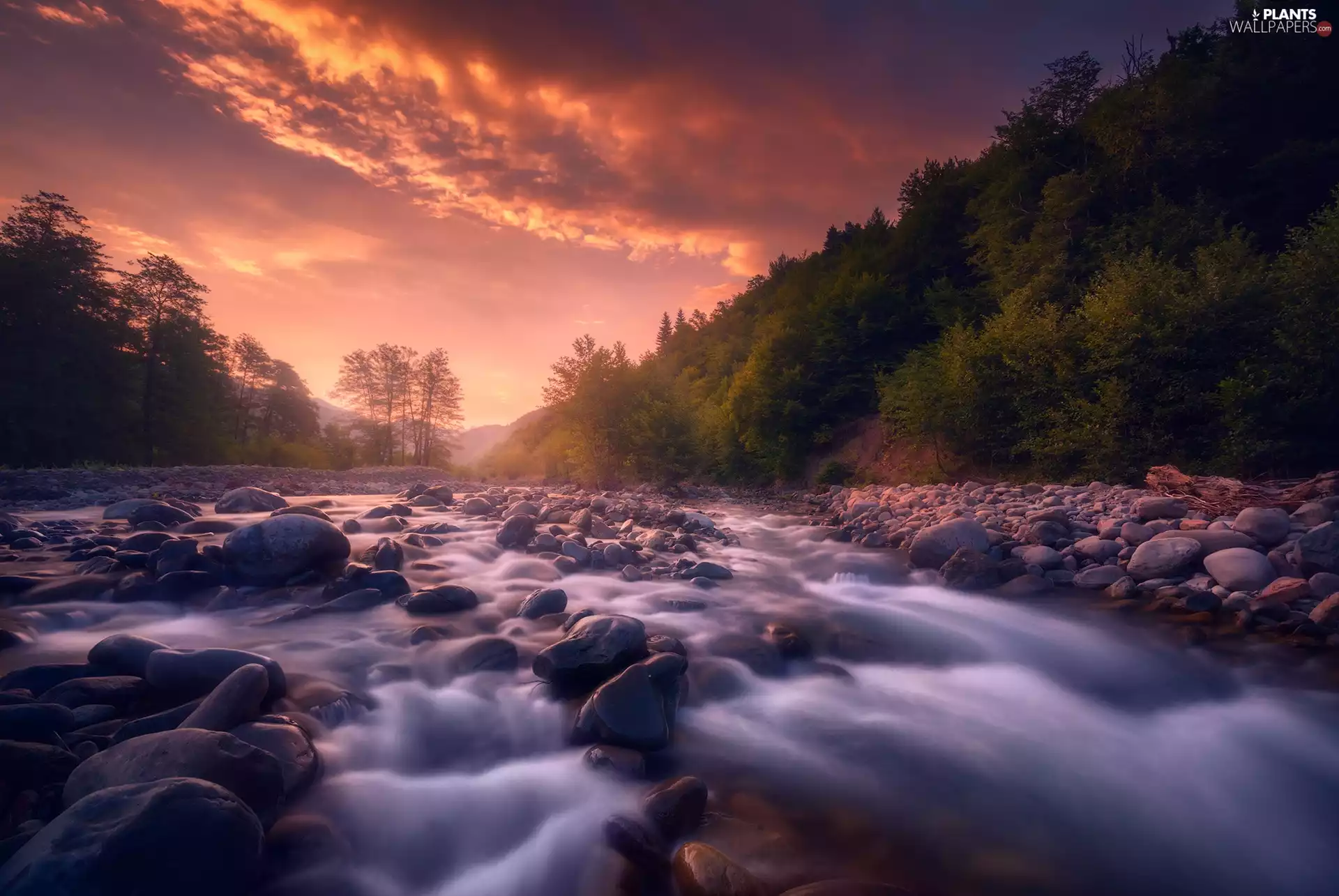 Stones, Rioni River, forest, trees, Racha-Lechkhumi Region, Georgia, Sunrise, clouds, viewes