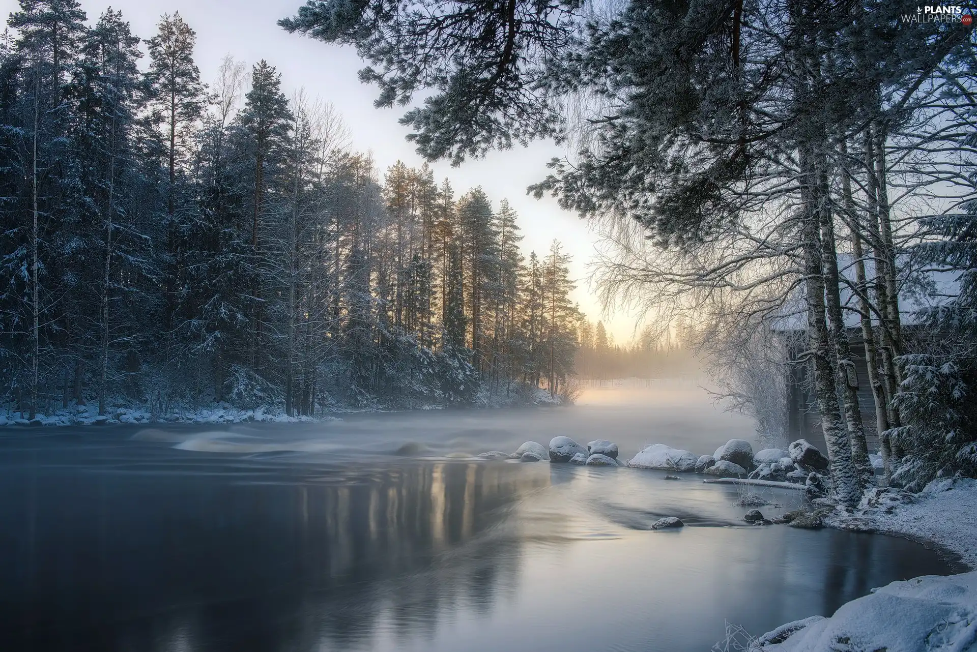 forest, winter, viewes, Sunrise, trees, River