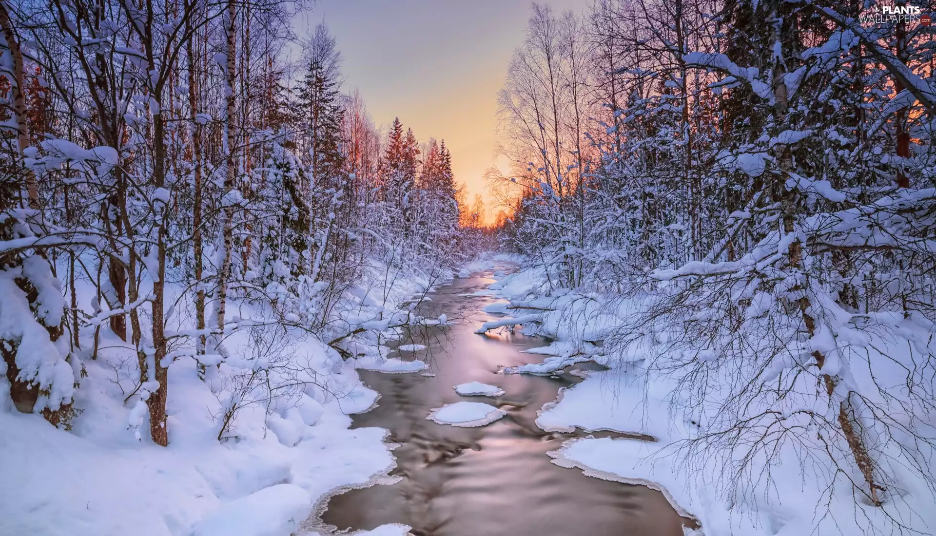 Snowy, winter, viewes, Sunrise, trees, River