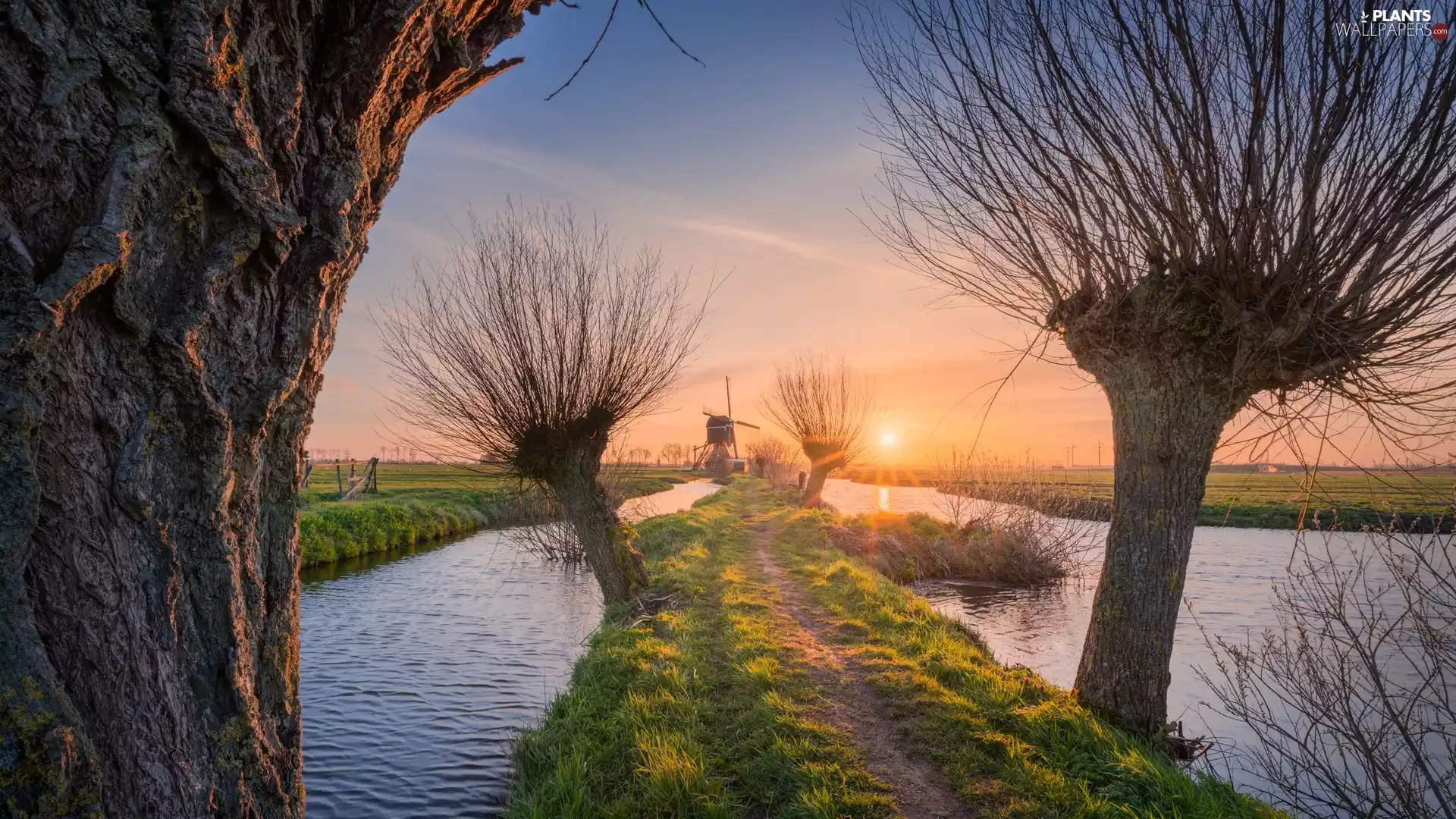 Sunrise, trees, Netherlands, viewes, Kinderdijk Village, River, Windmills, willow