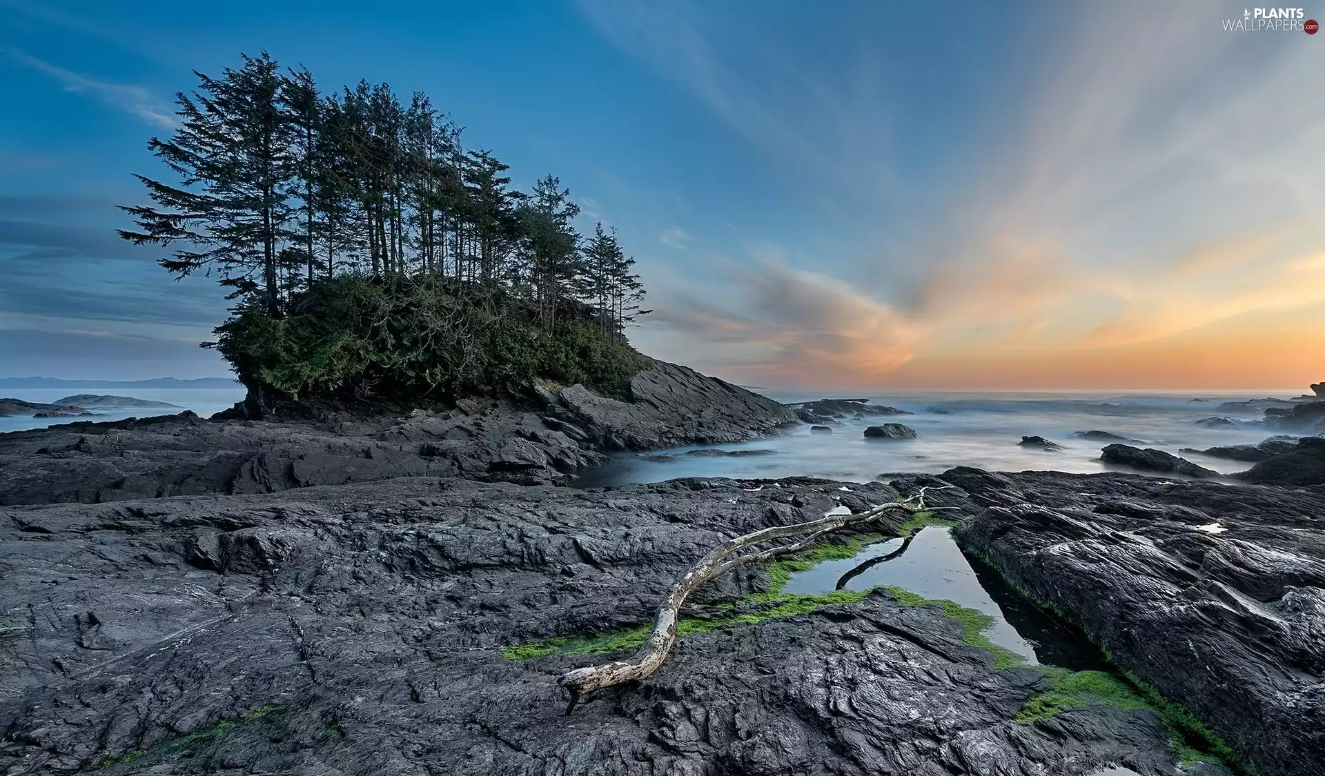 viewes, Sunrise, rocks, trees, sea