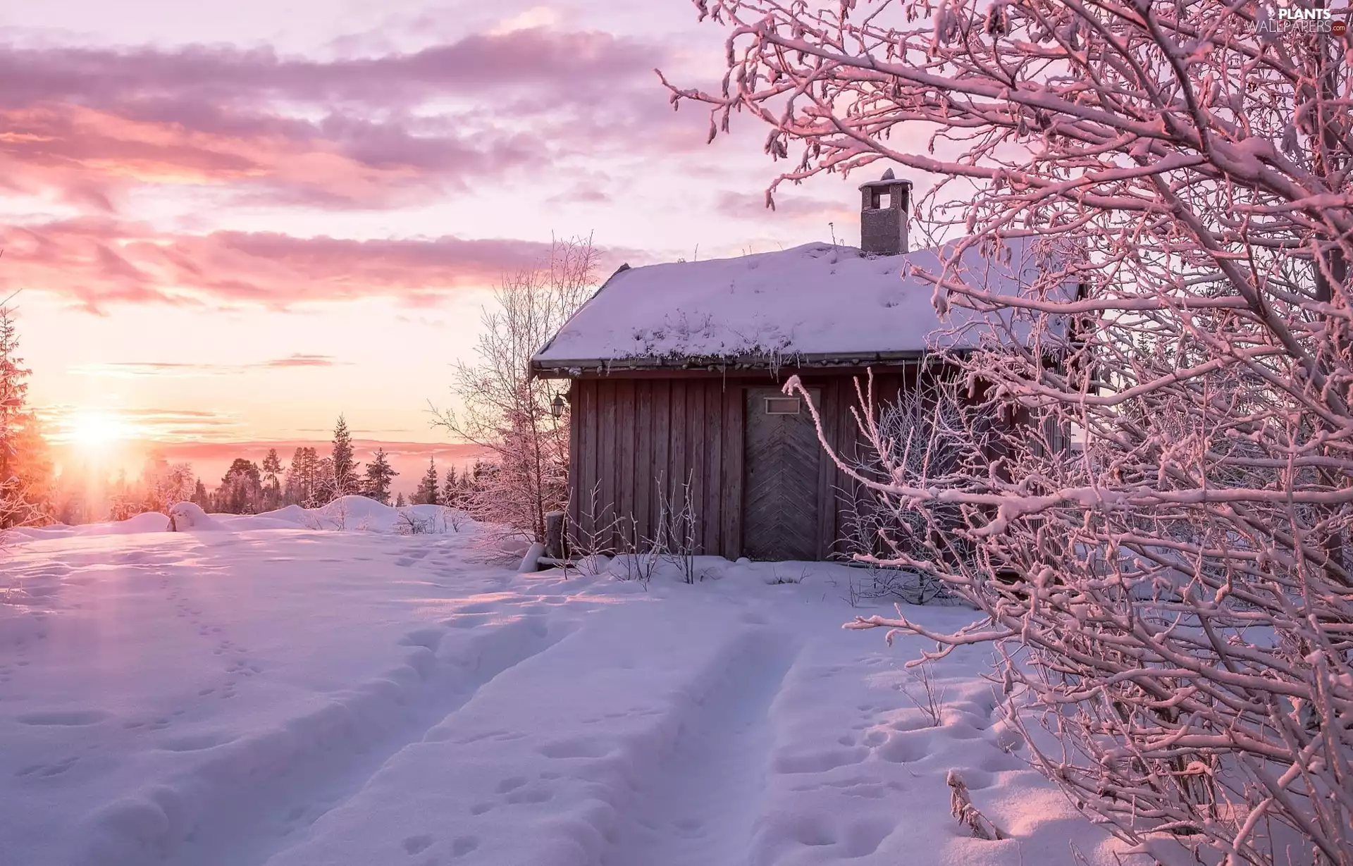 cottage, winter, viewes, Sunrise, trees, snow