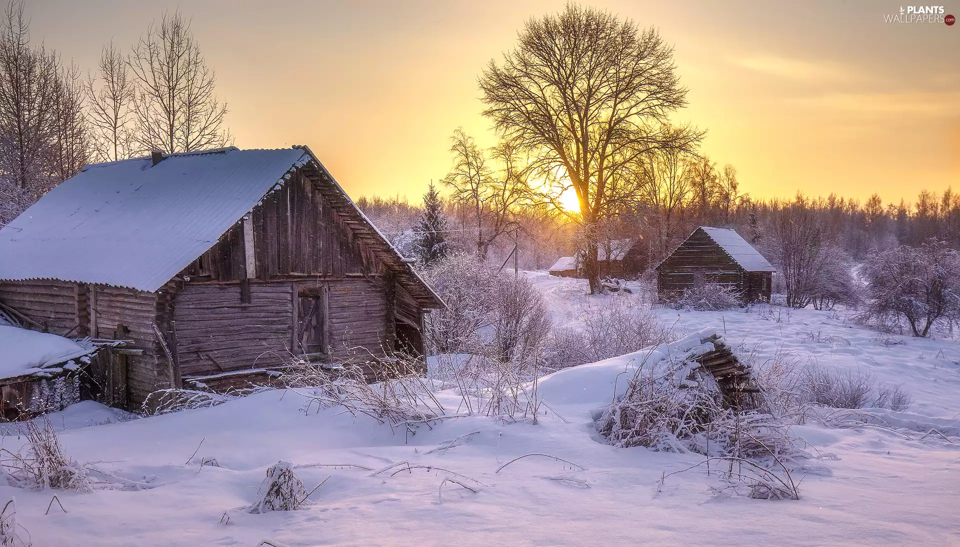 Houses, winter, viewes, Sunrise, trees, snow