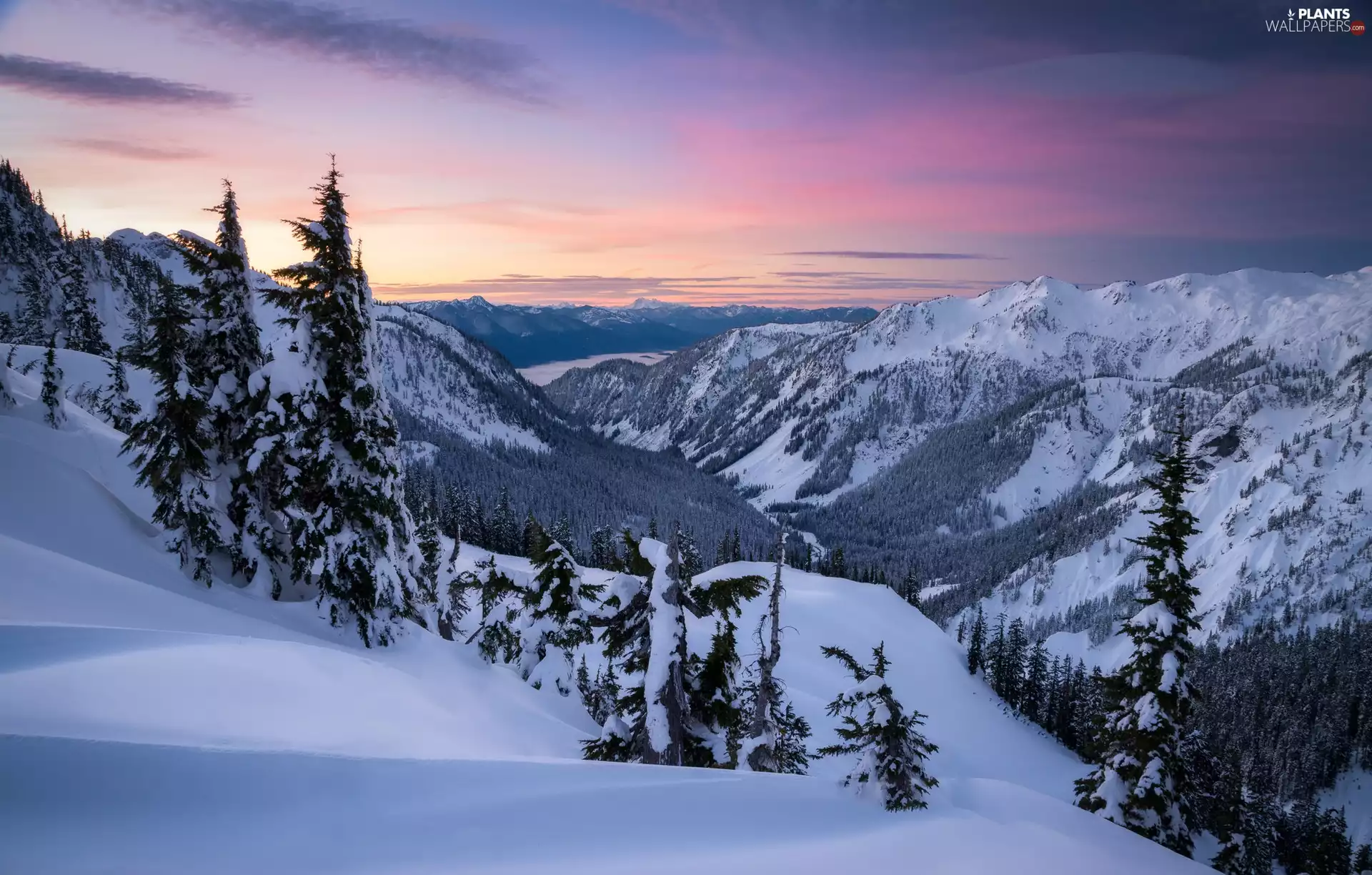 Cascade Mountains, Artist Point Walking Area, viewes, Sunrise, trees, Washington State, The United States, winter