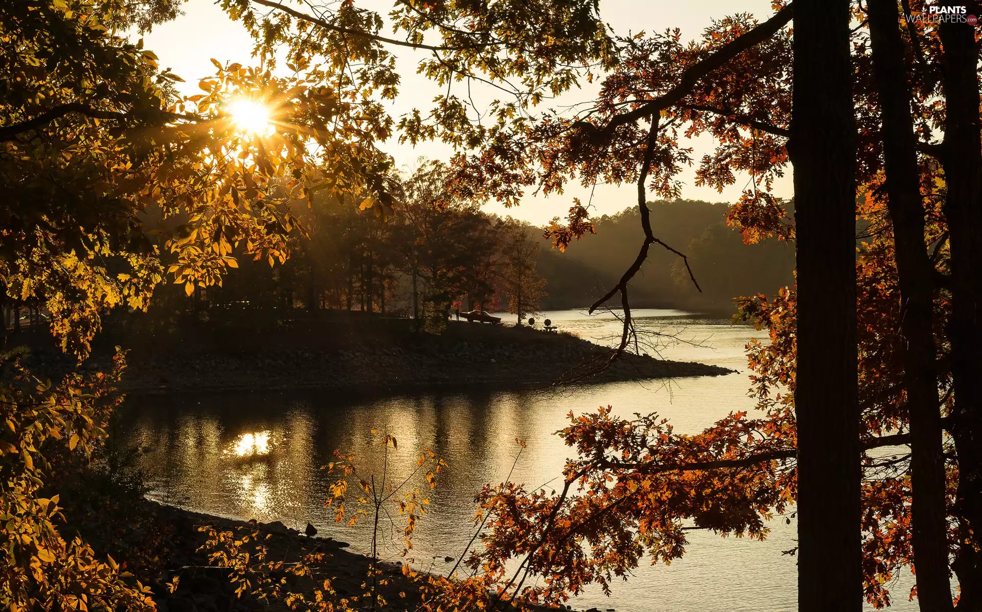 River, Sunrise, trees, viewes, autumn