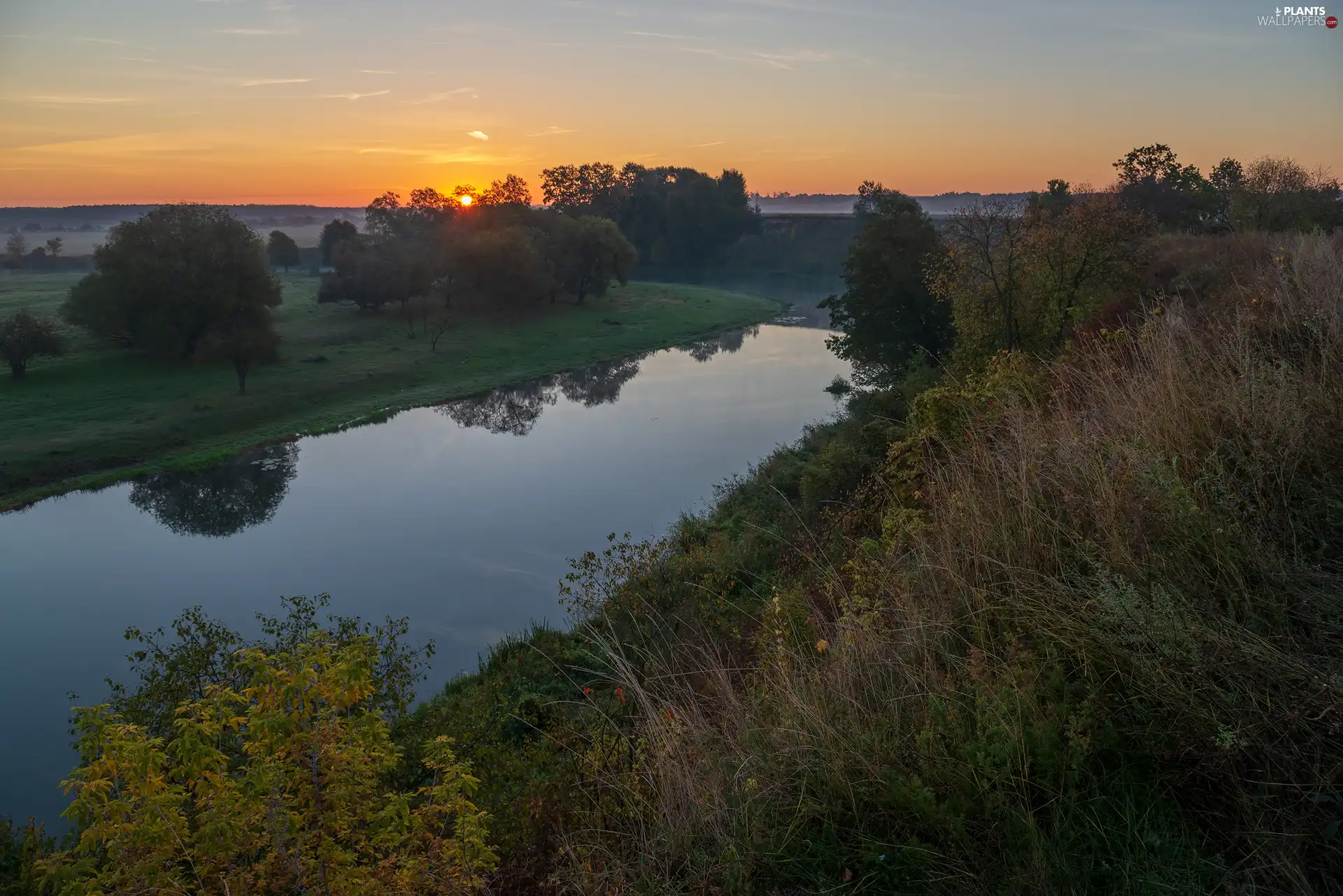 viewes, River, Bush, Sunrise, grass, trees