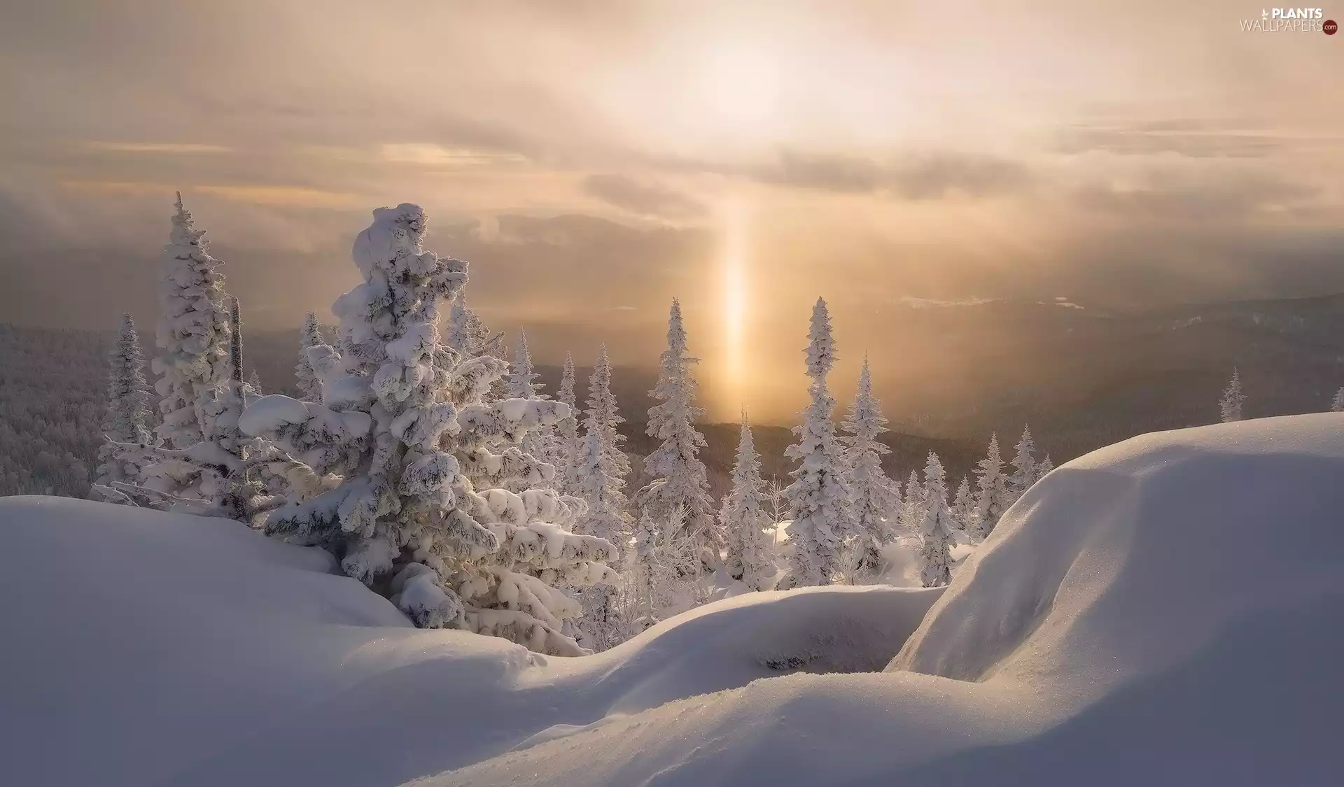 viewes, winter, clouds, Sunrise, Mountains, trees