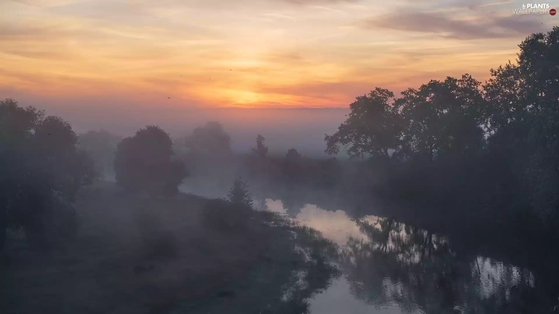 viewes, River, morning, Sunrise, Fog, trees