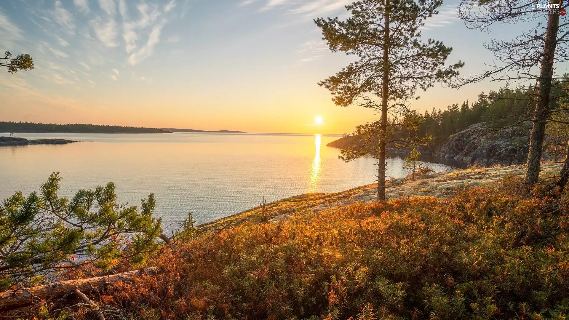 viewes, lake, VEGETATION, Sunrise, rocks, trees