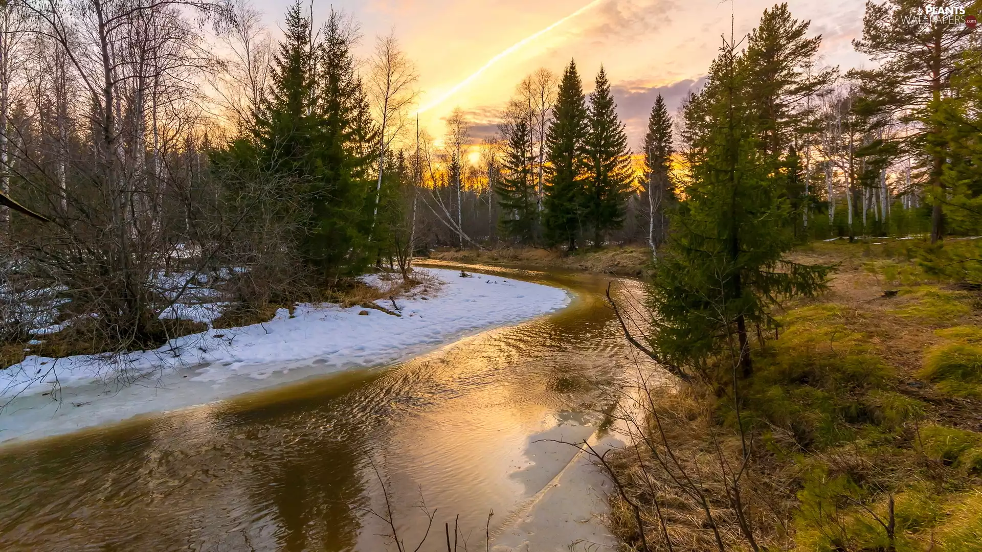 River, Sunrise, viewes, forest, trees