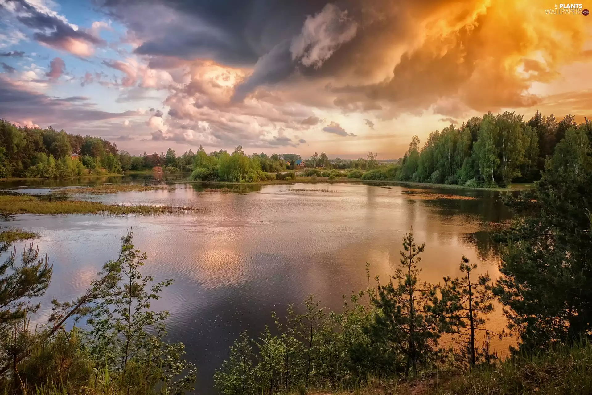 viewes, grass, clouds, trees, lake, Houses, Great Sunsets