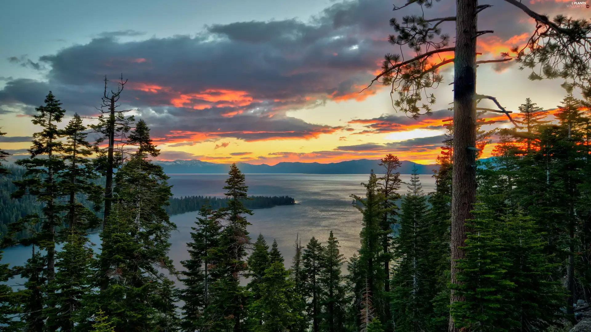 lake, trees, clouds, viewes, forest, Mountains, Great Sunsets