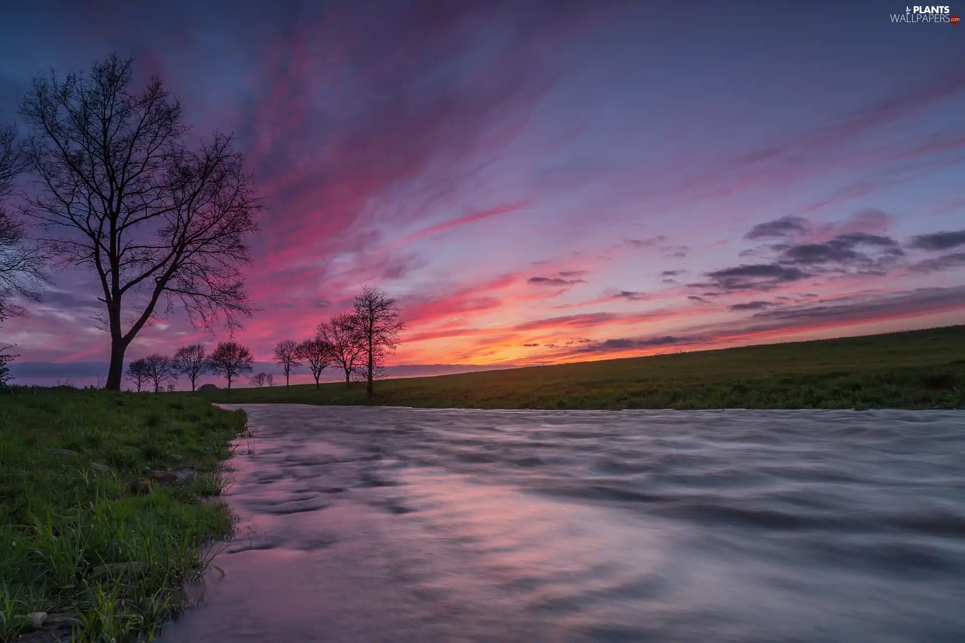 Meadow, trees, clouds, viewes, River, grass, Great Sunsets