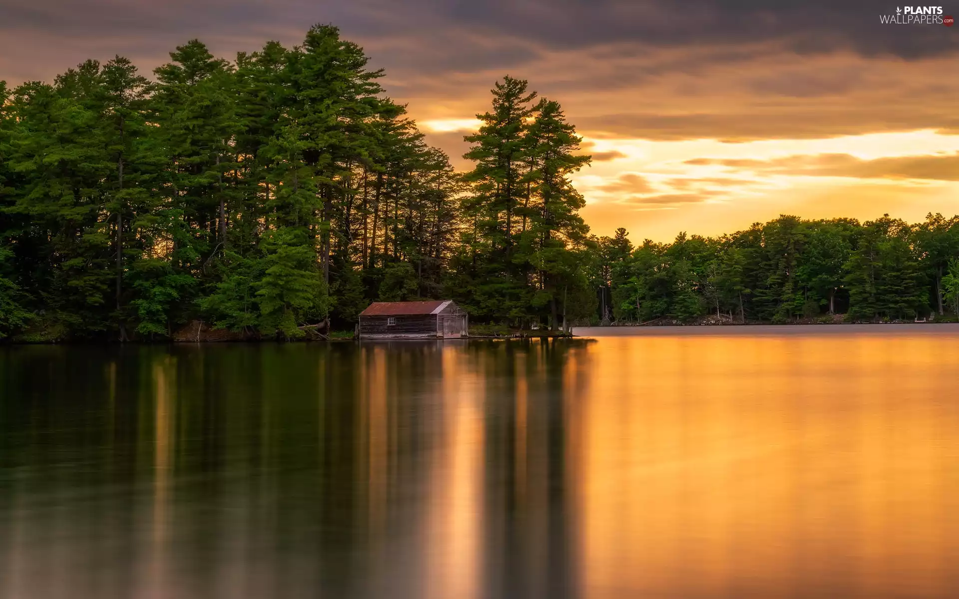 viewes, forest, cottage, trees, lake, Wooden, Great Sunsets