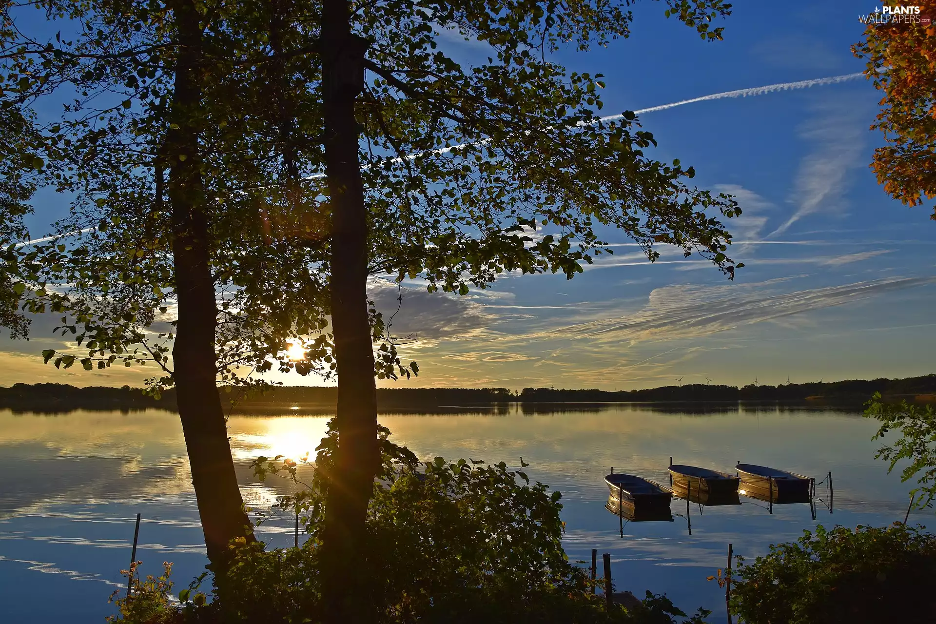 trees, lake, Great Sunsets, clouds, viewes, boats