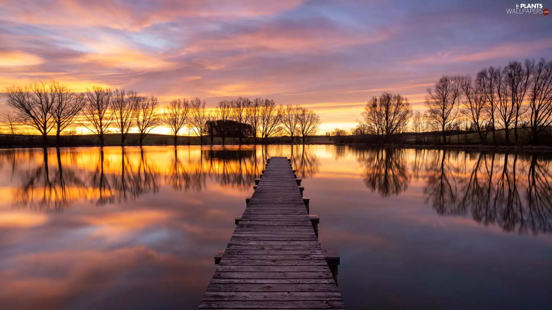 trees, lake, Great Sunsets, reflection, viewes, Platform