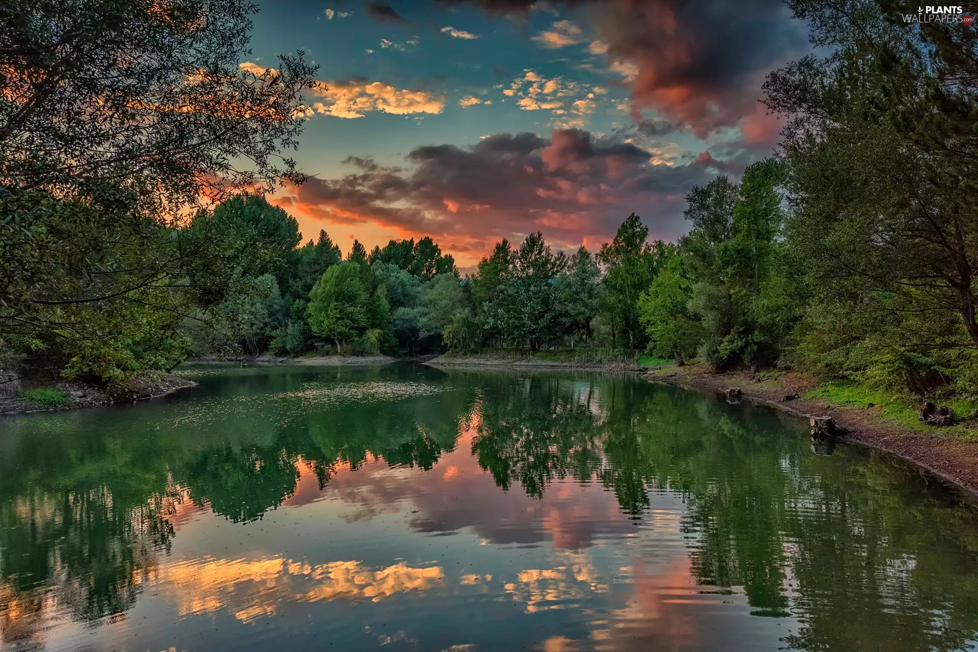 viewes, lake, Great Sunsets, reflection, clouds, trees