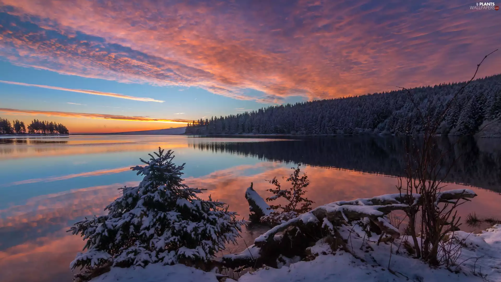 viewes, lake, Great Sunsets, reflection, snow, trees