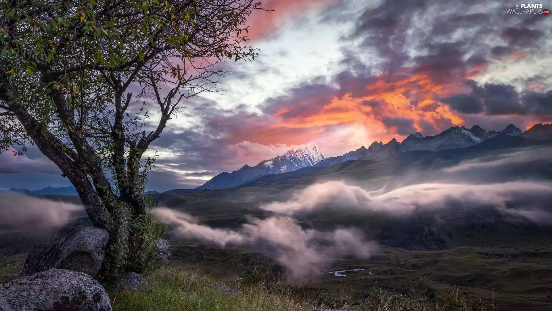 Valley, Mountains, Great Sunsets, clouds, trees, Fog
