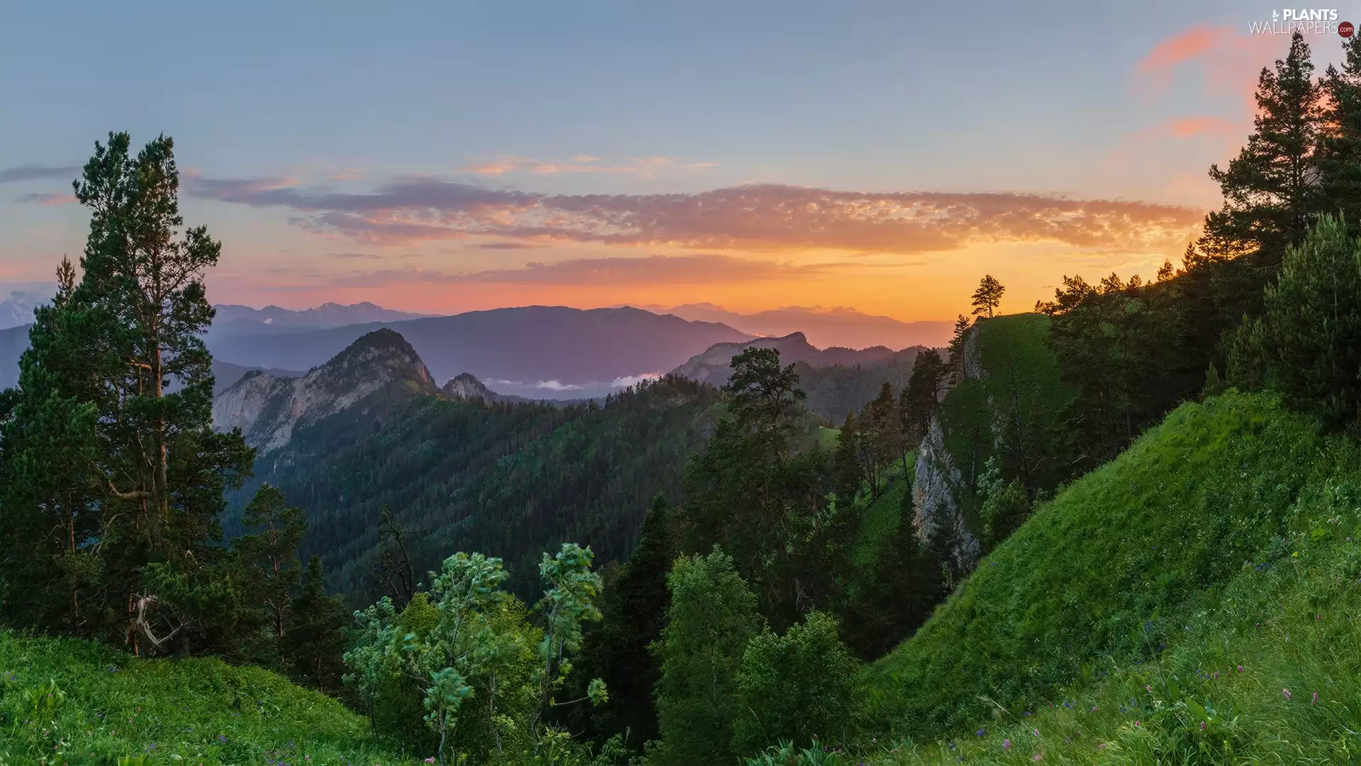trees, Mountains, Great Sunsets, clouds, viewes, forest