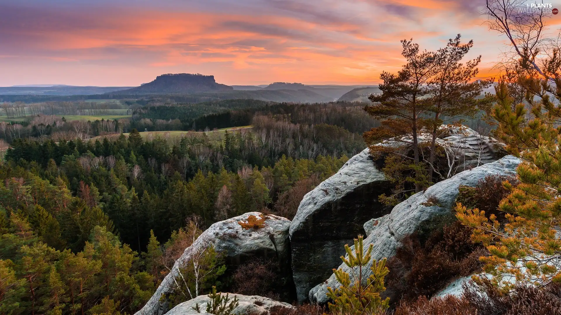 trees, Mountains, Great Sunsets, clouds, viewes, rocks