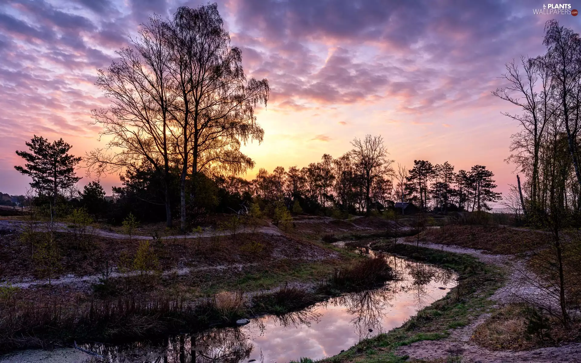 trees, River, Great Sunsets, clouds, viewes, stream