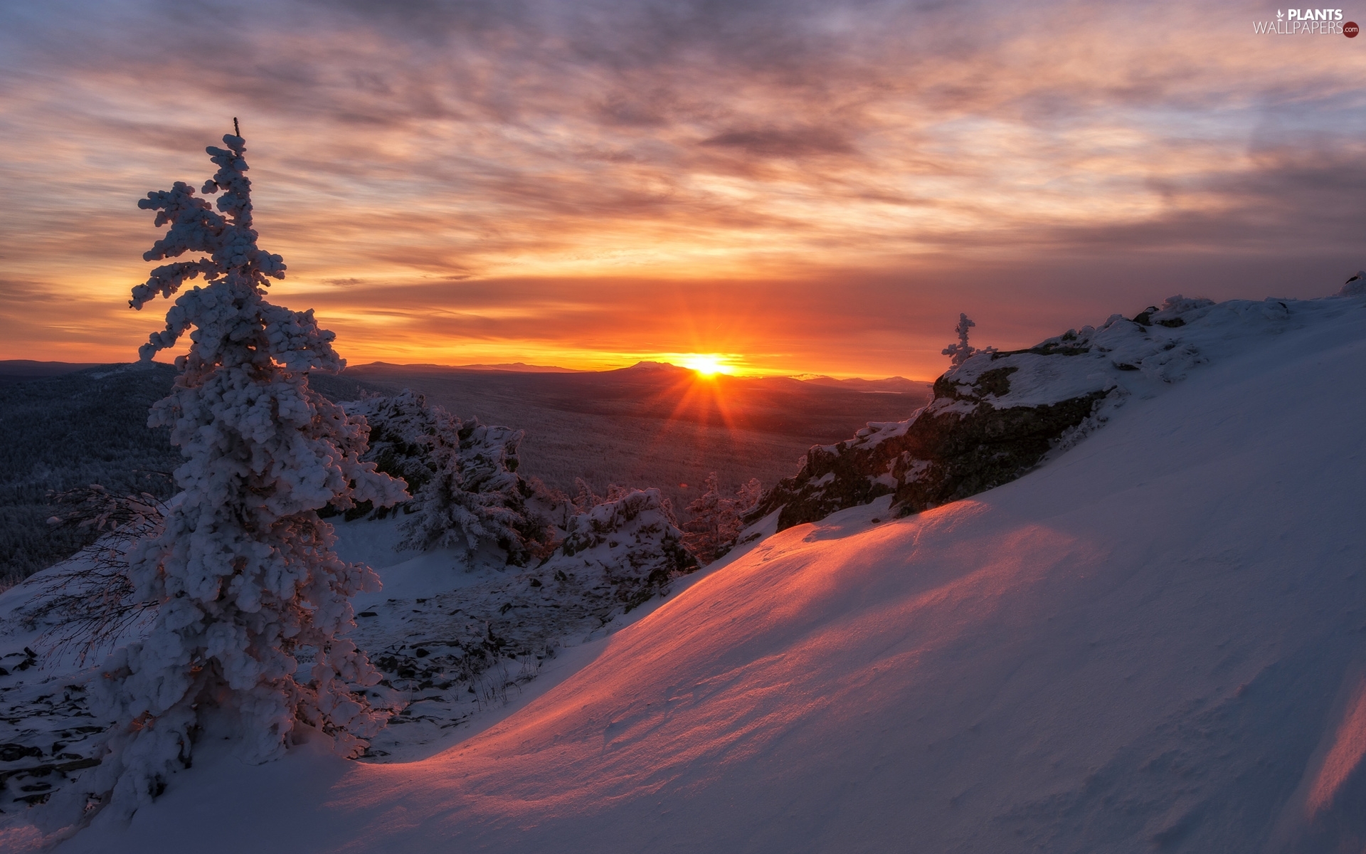 trees, winter, Great Sunsets, clouds, viewes, Mountains