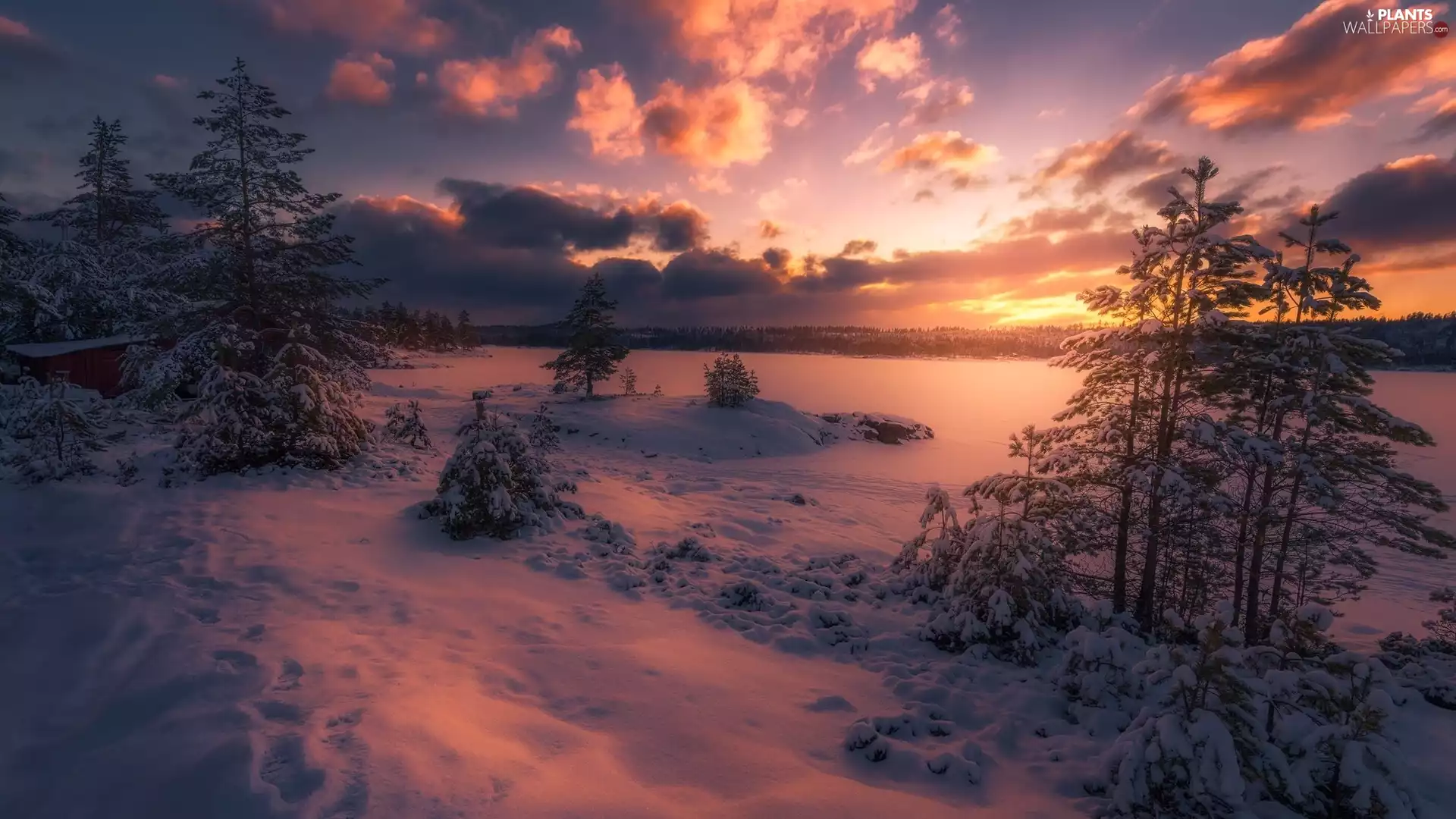 viewes, winter, Great Sunsets, snow, lake, trees