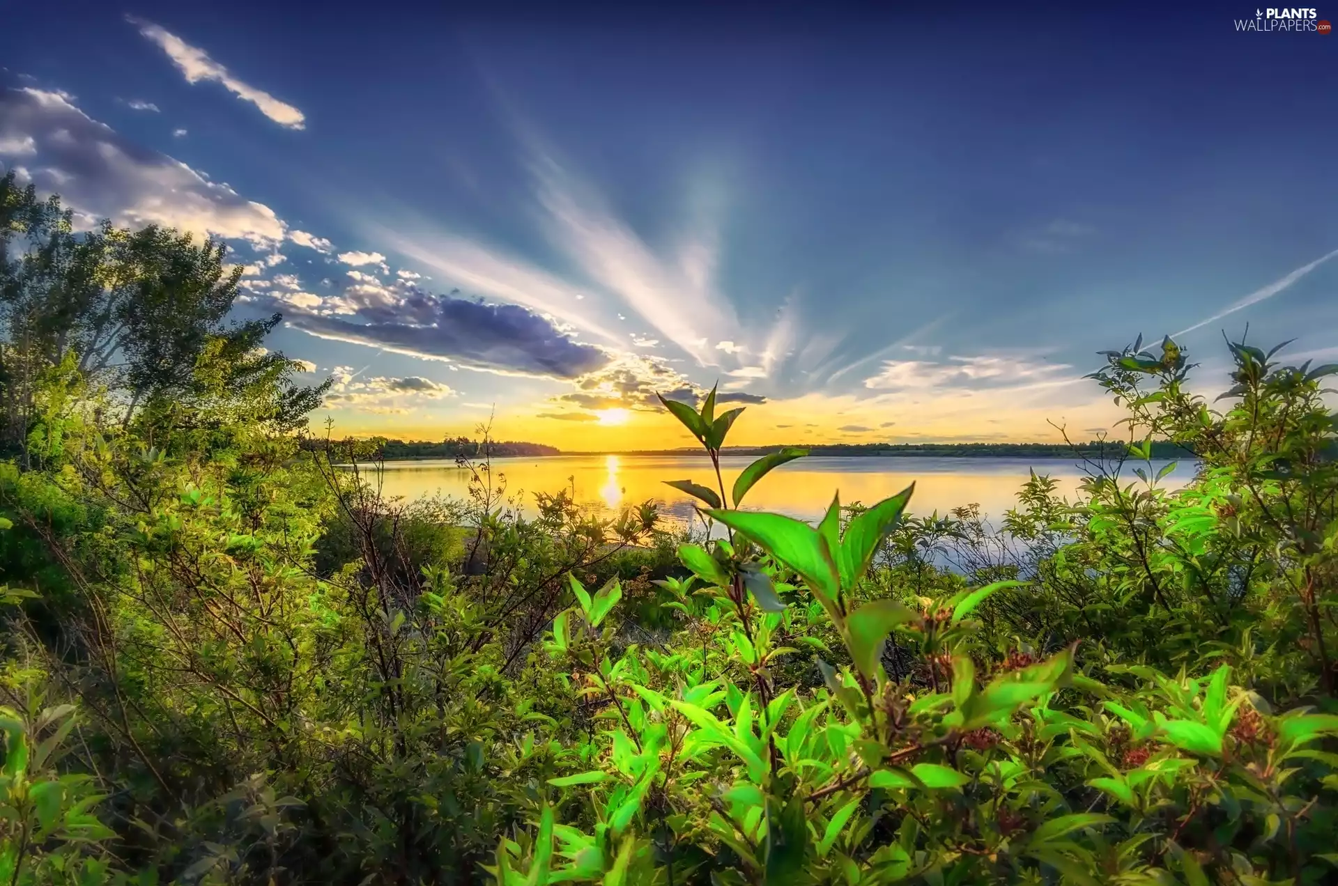 Alberta, Canada, Great Sunsets, Bush, lake