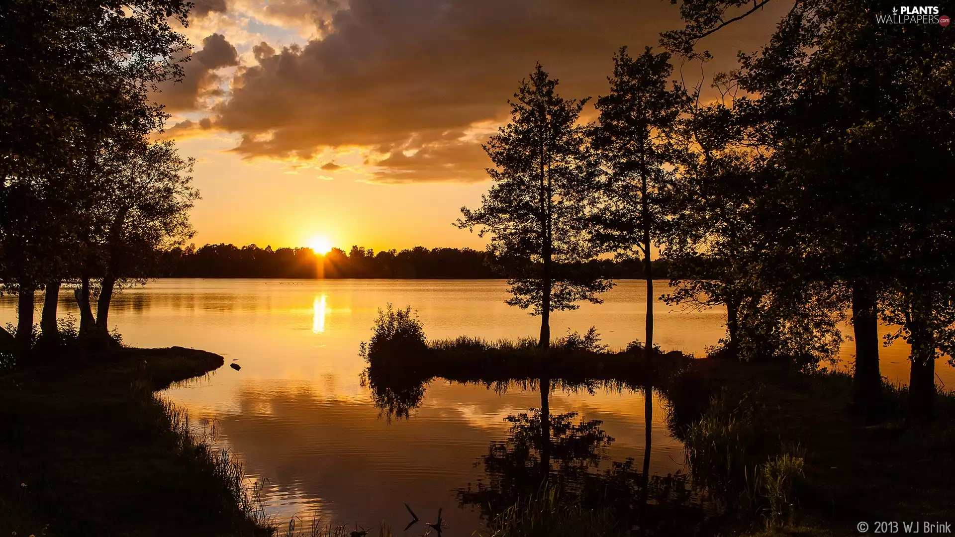 trees, viewes, Great Sunsets, forest, lake