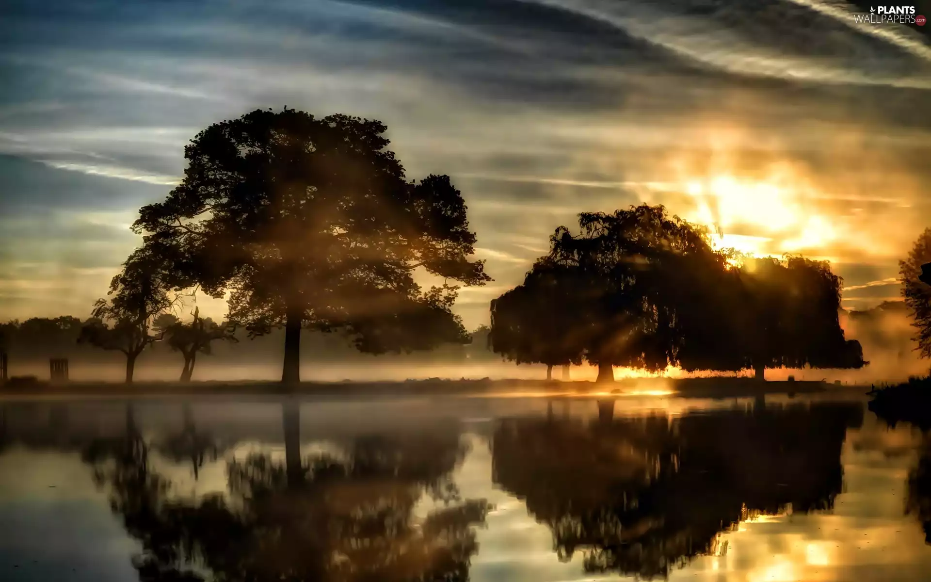 viewes, reflection, Great Sunsets, trees, lake