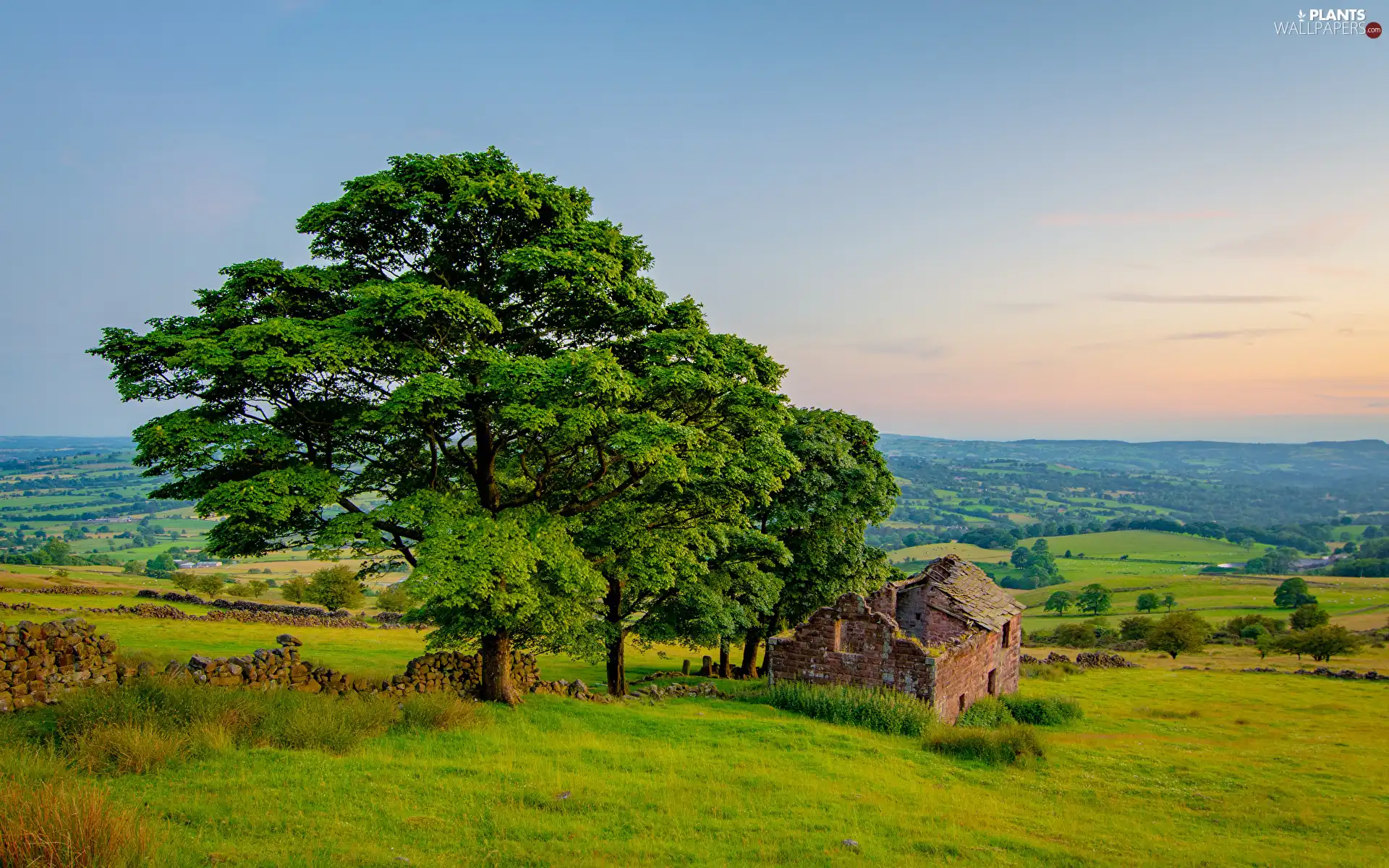 house, trees, ledge, viewes, Field, ruins, Great Sunsets