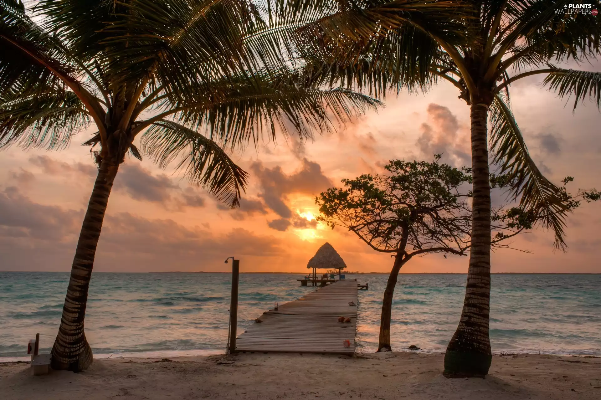 Great Sunsets, pier, Palms, sea