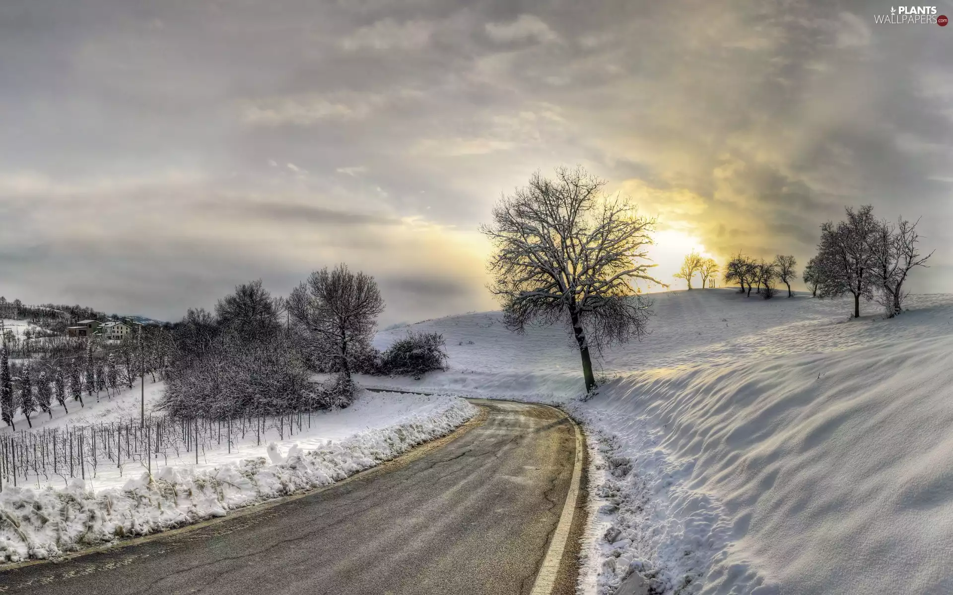viewes, Way, snow, trees, winter, Hill, Great Sunsets