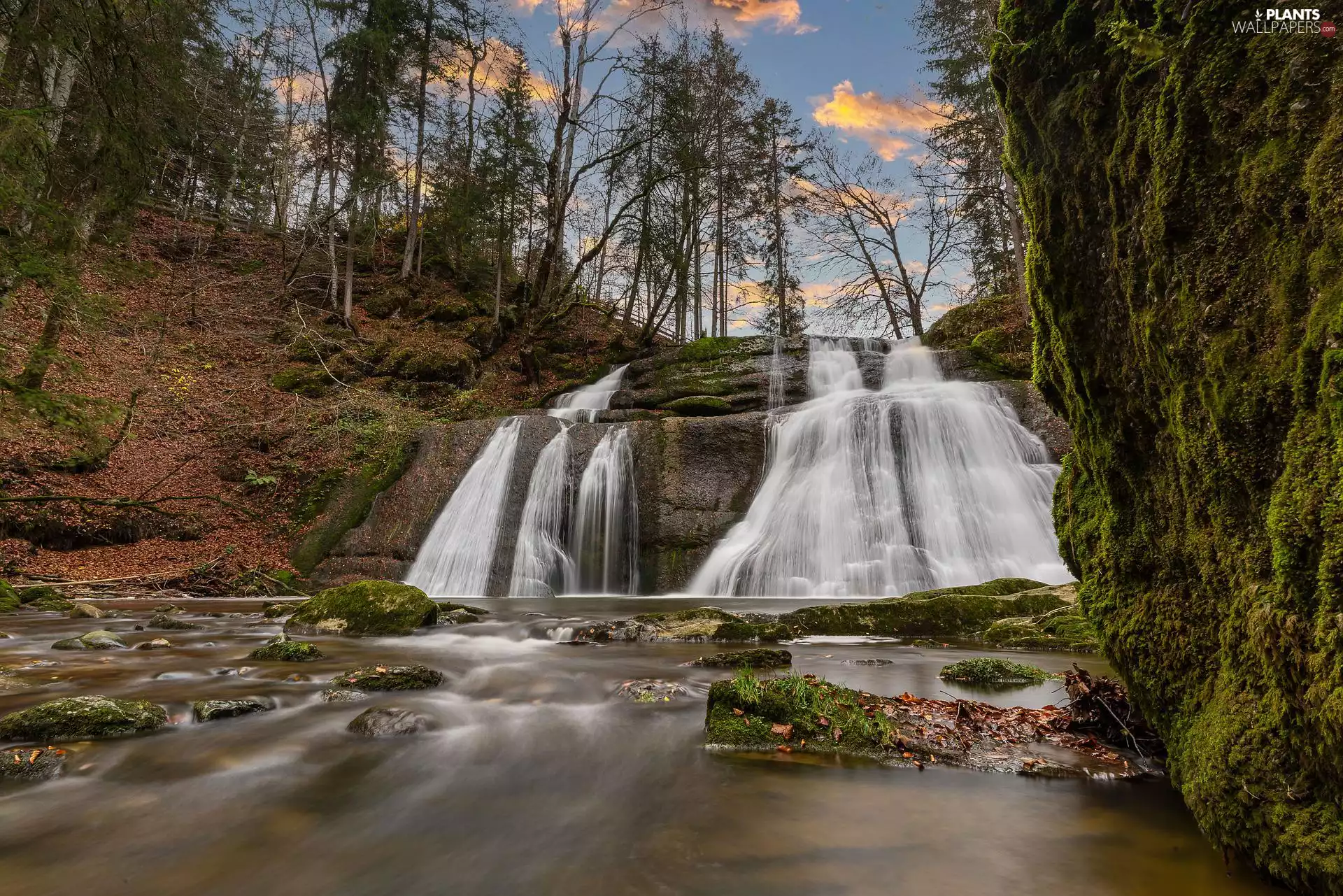 trees, waterfall, Stones, Rocks, River, viewes, Great Sunsets