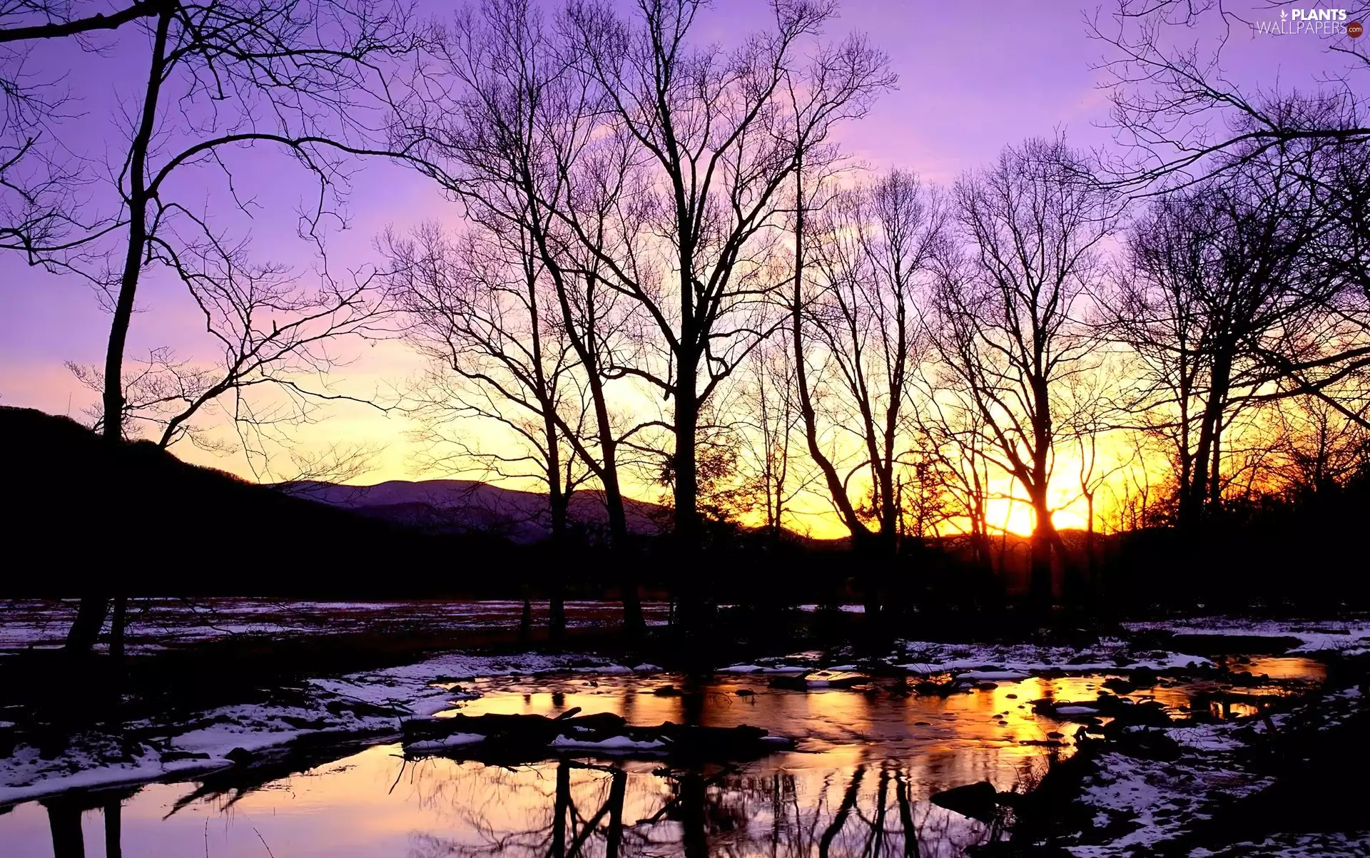 Great Sunsets, trees, viewes, brook