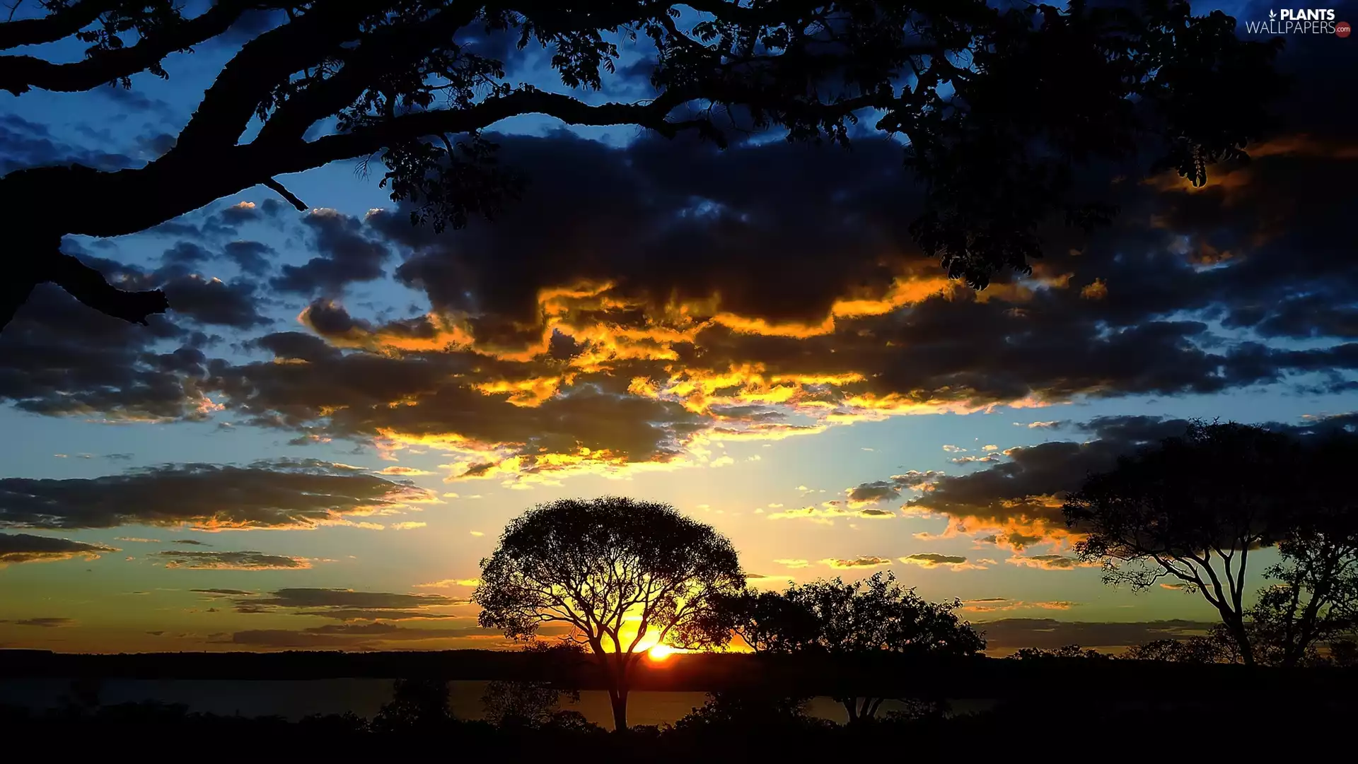 Great Sunsets, trees, viewes, clouds