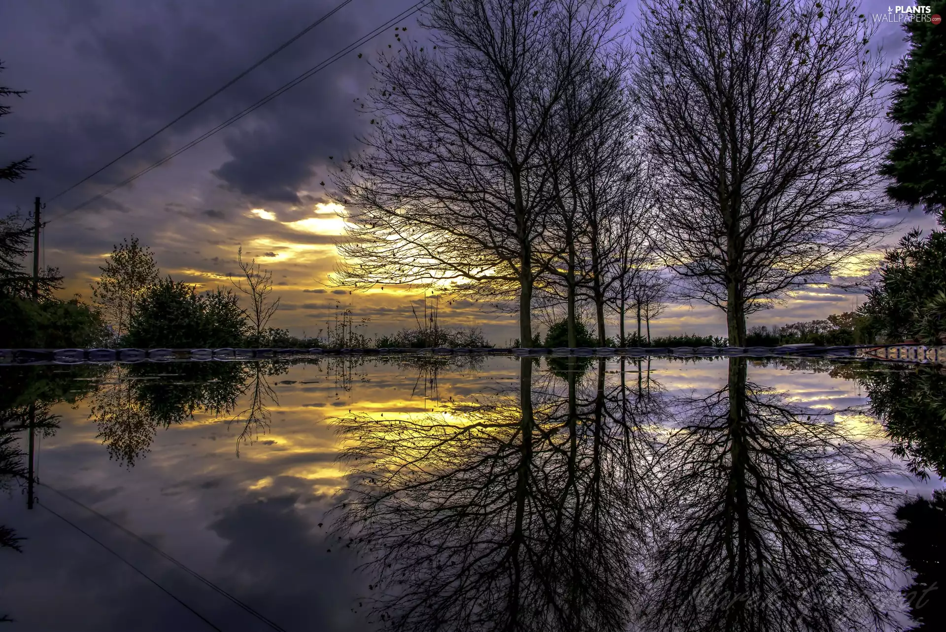 Great Sunsets, trees, viewes, lake