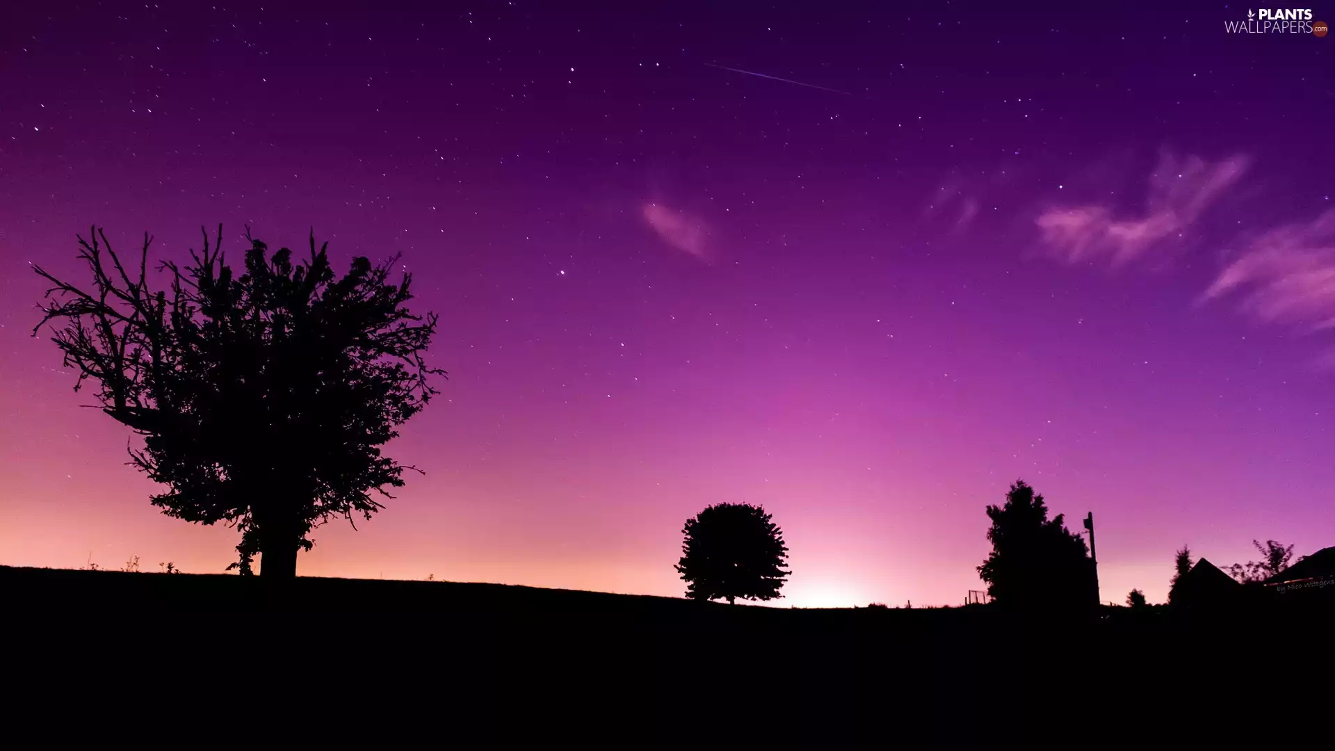 Great Sunsets, trees, viewes, Sky