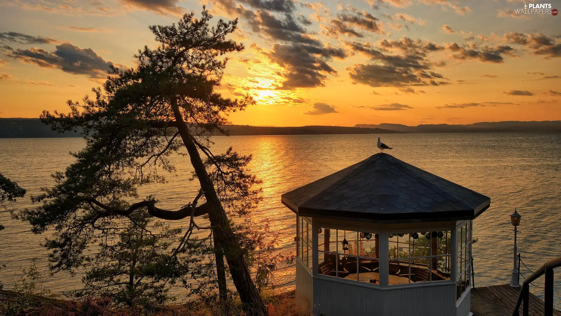 arbour, Platform, viewes, Home, lake, trees, Great Sunsets
