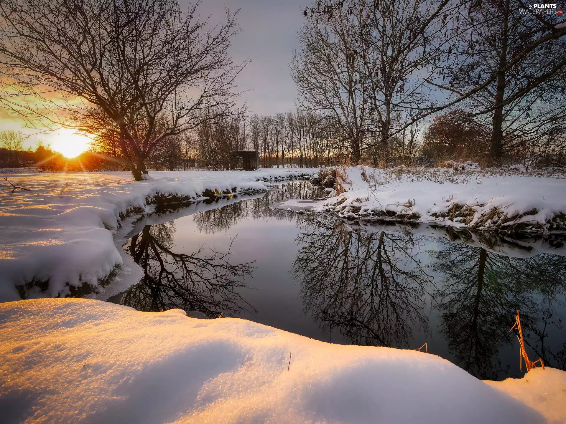 leafless, River, viewes, snow, winter, trees, Great Sunsets